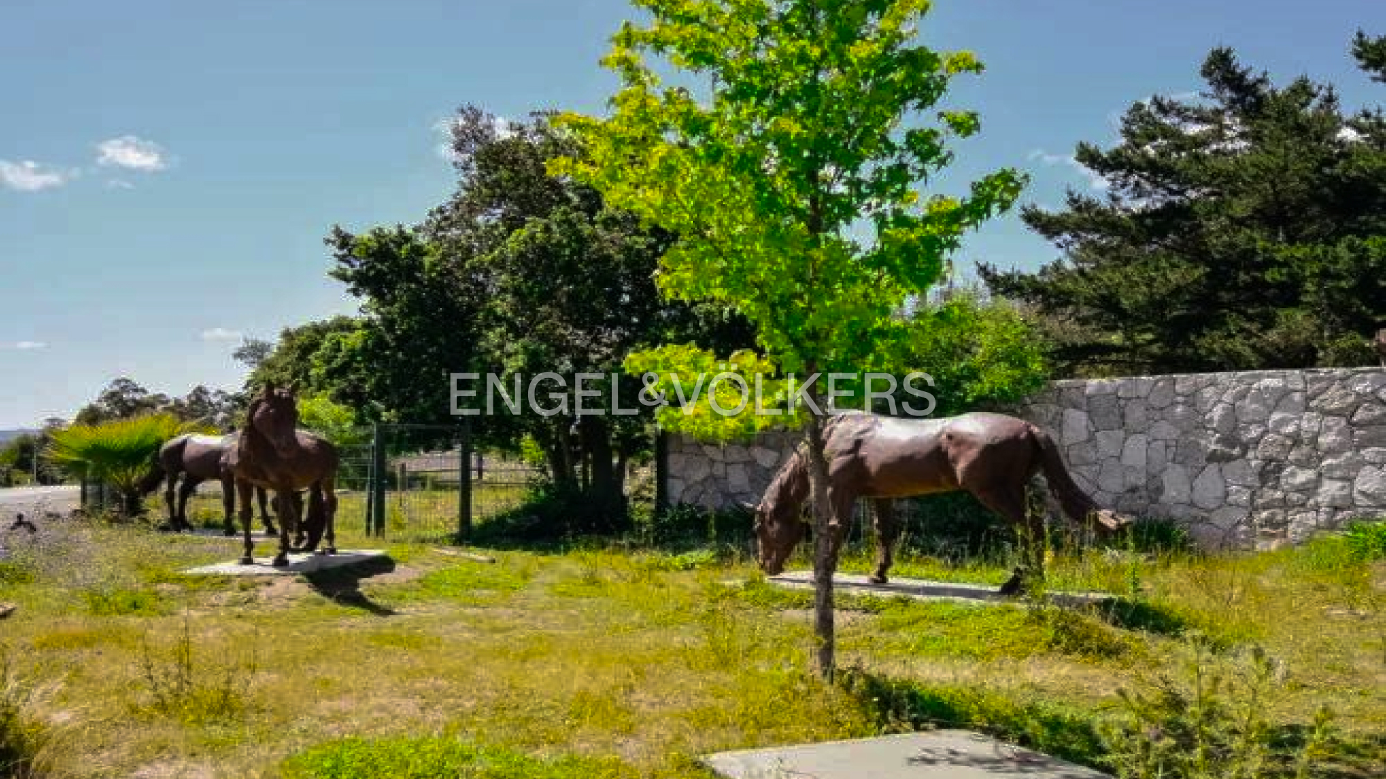 Sitio en Reserva de Mitrinhue