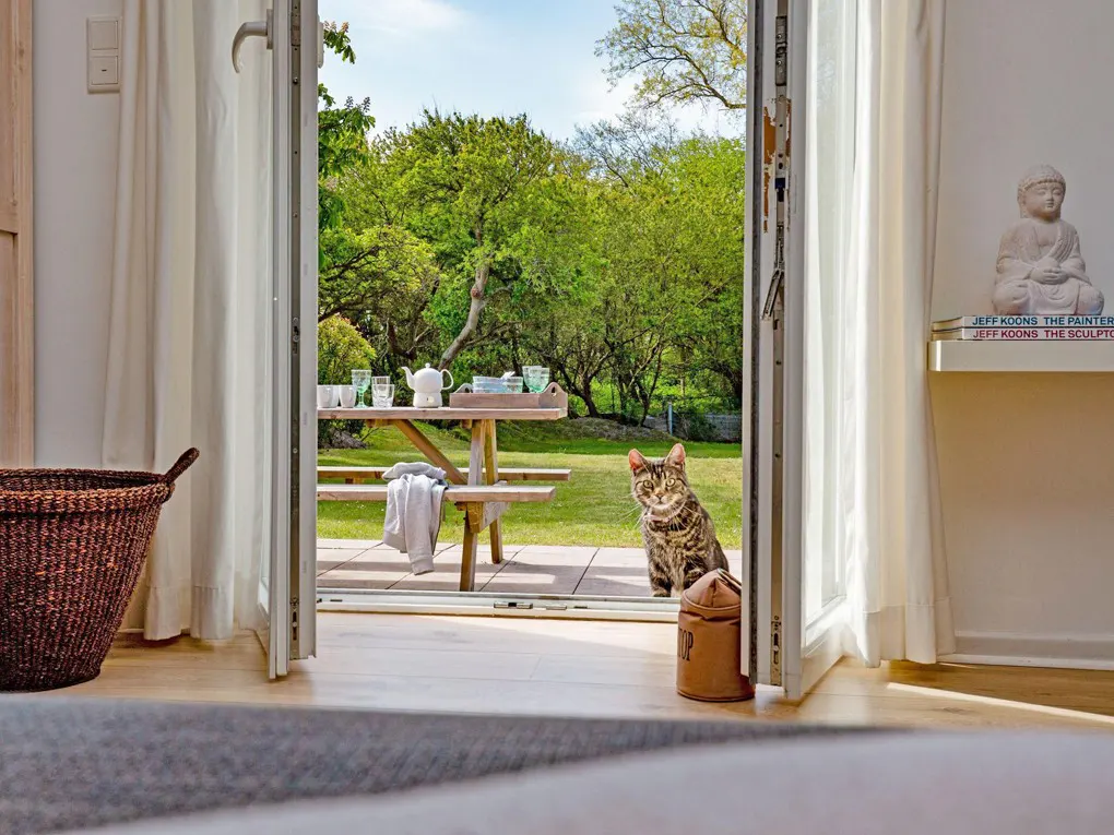 View from inside a home through open doors to a patio with a picnic table and a tabby cat.
