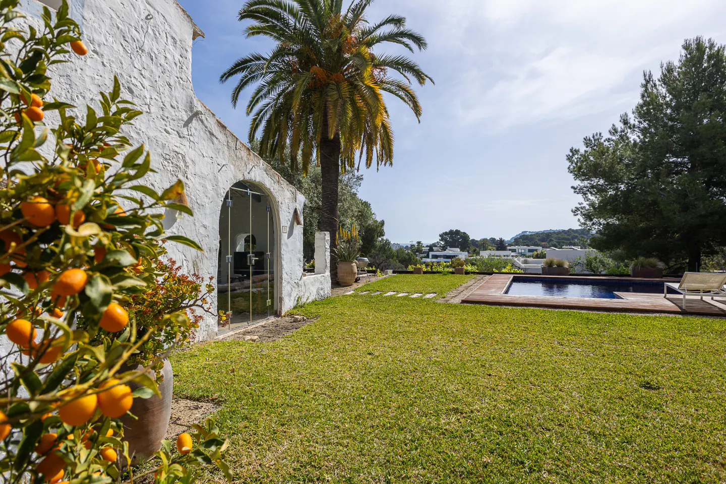 Exterior view of a white building with a glass door, a palm tree, a green lawn, and a blue swimming pool. An orange tree is in the foreground.