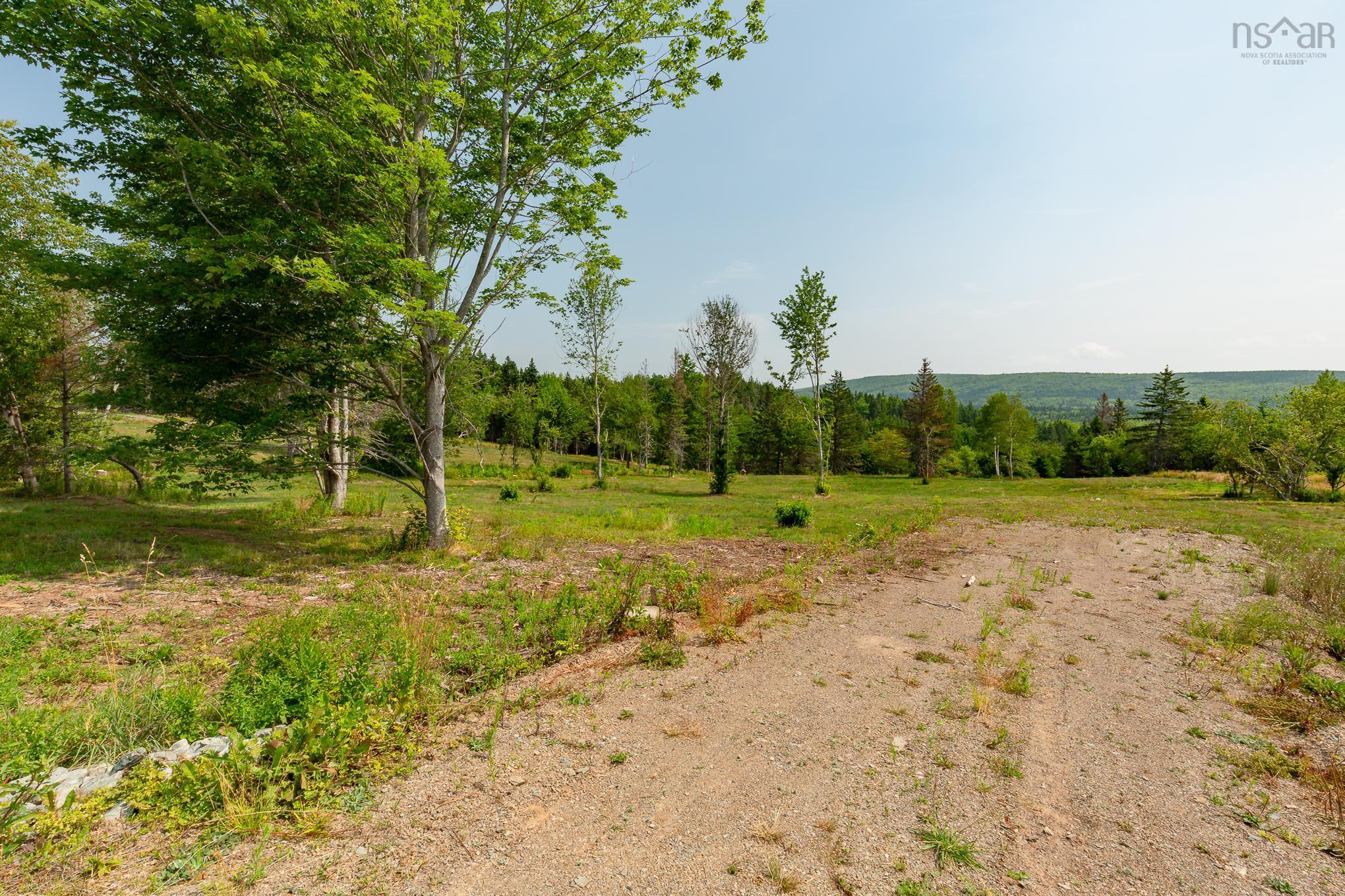 A vacant lot with a dirt road leading to a grassy field with trees and a distant green hill under a blue sky.