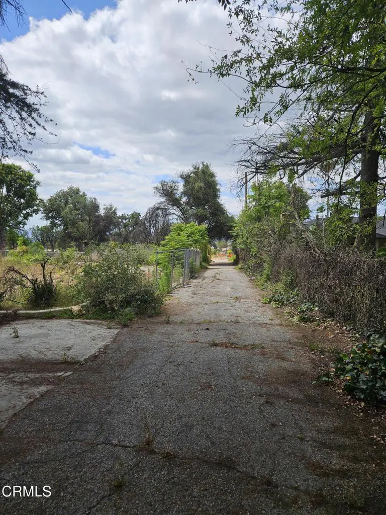 Overgrown driveway leading to a vacant lot with trees under a cloudy sky.