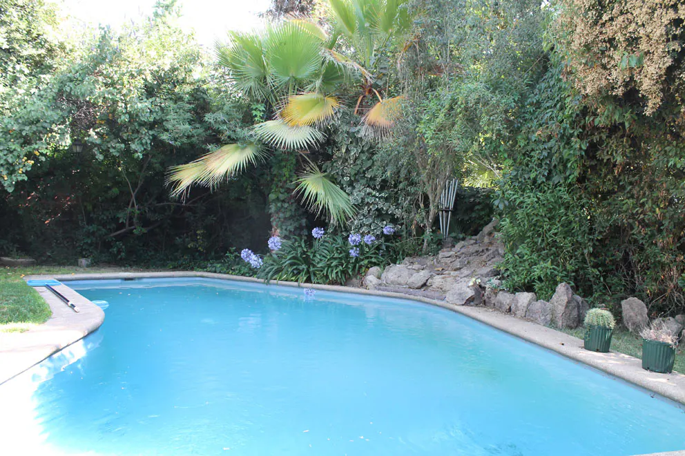 A turquoise swimming pool is surrounded by lush green trees and plants.
