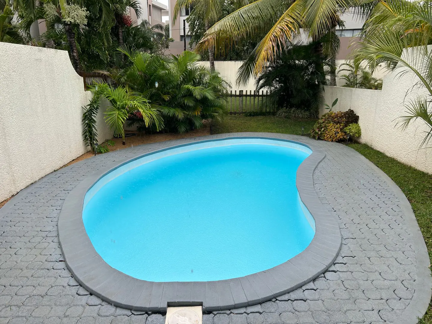 A kidney-shaped, light blue swimming pool is surrounded by a gray stone patio and lush green plants. White walls enclose the area.