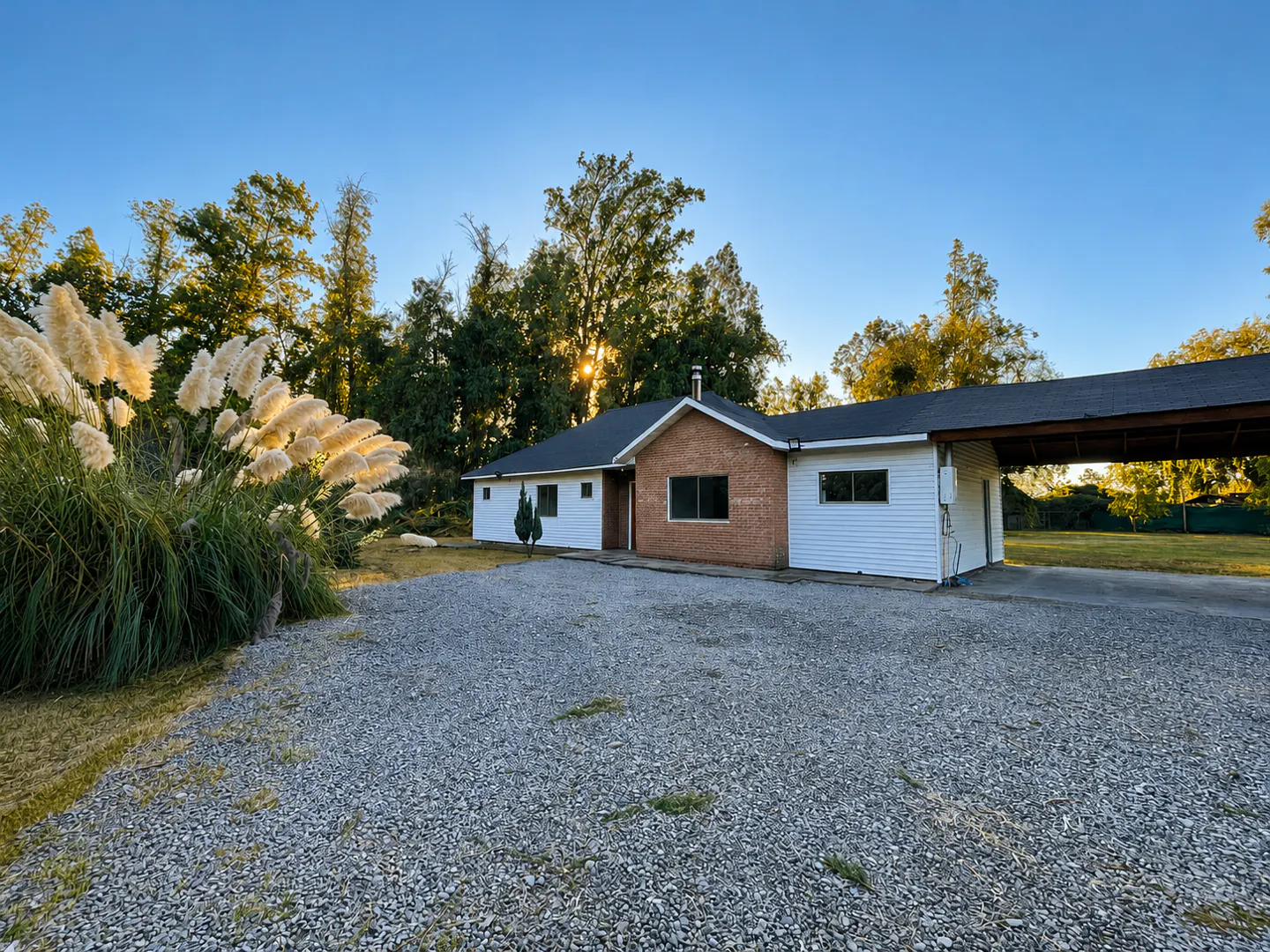 Exterior view of a one-story house with white siding, brick accents, and a gravel driveway. Trees and pampas grass surround the property.