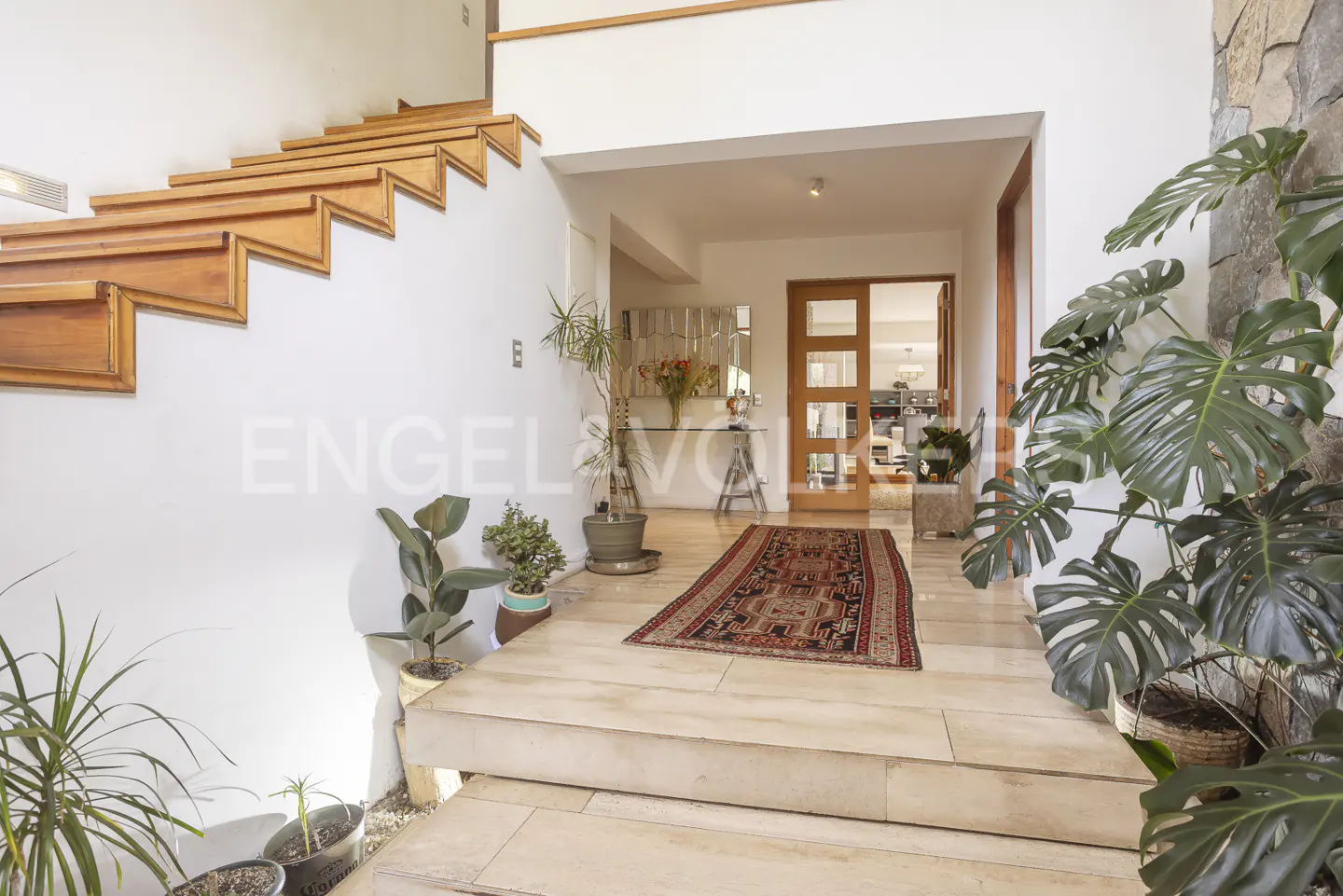 Bright foyer with wooden stairs, plants, and a patterned rug leading to a glass-paneled door.