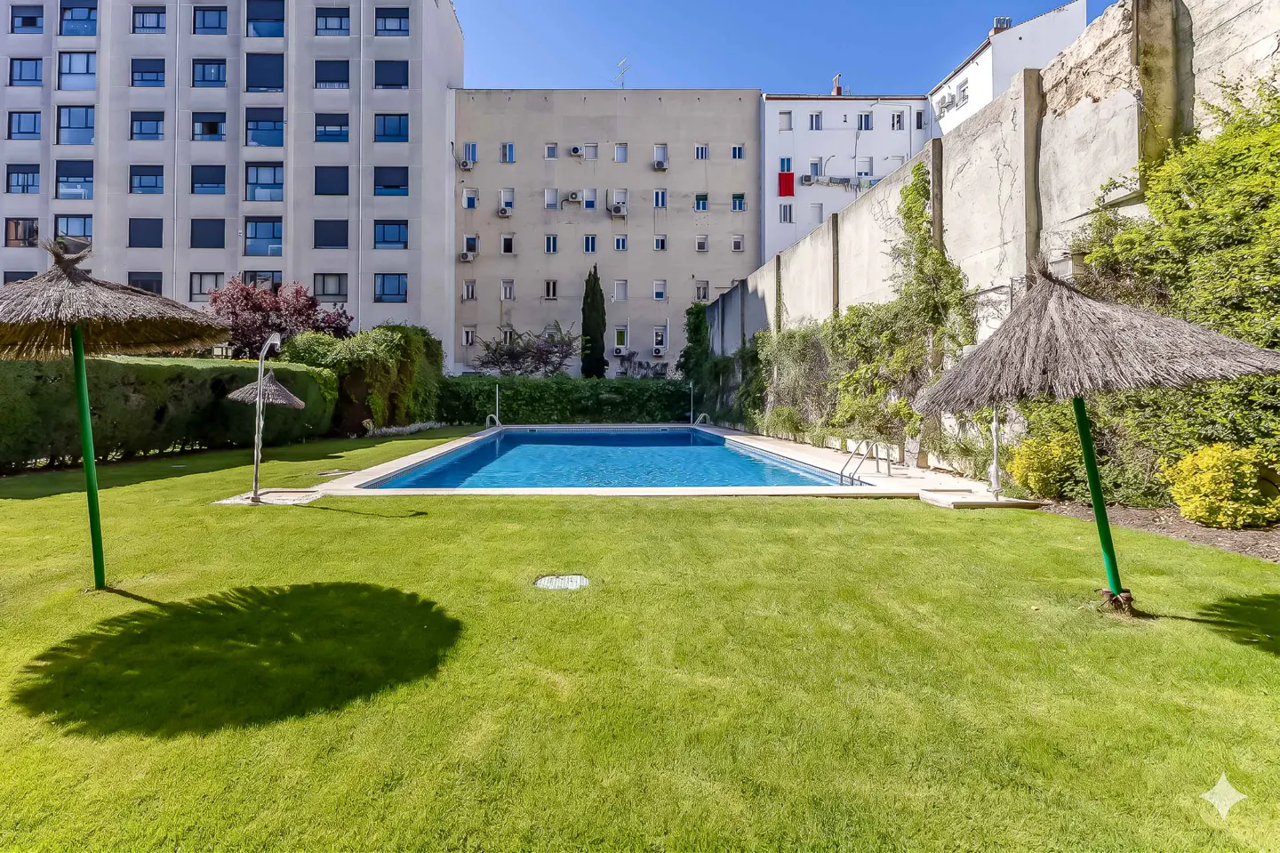 A rectangular blue swimming pool is surrounded by green grass and buildings in the background. Two straw umbrellas provide shade.