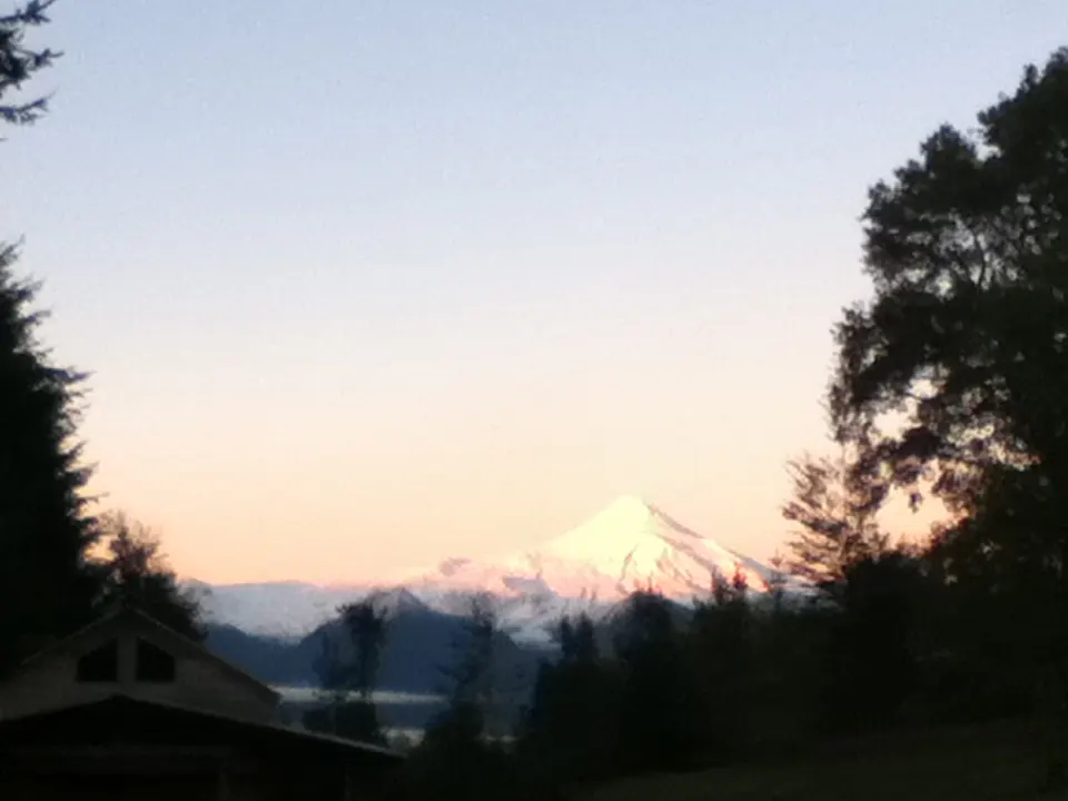 View of a snow-capped mountain at sunset, framed by trees and a building in the foreground.
