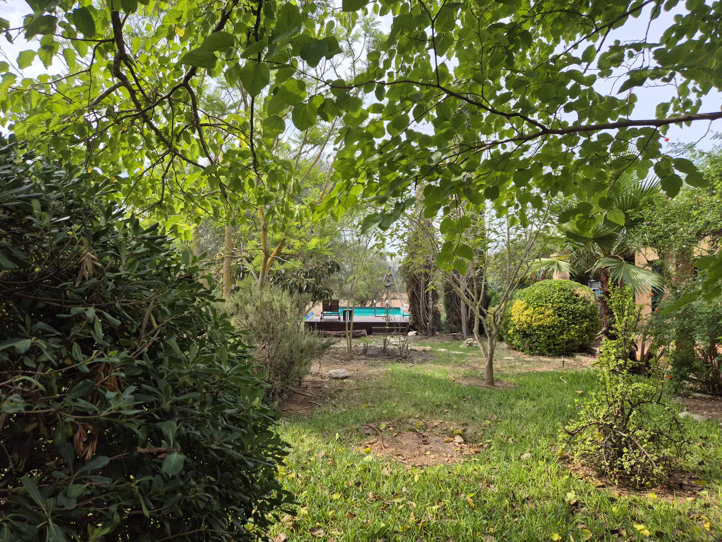 Lush green backyard with a turquoise pool, seen through tree branches. A table and chairs sit near the pool.