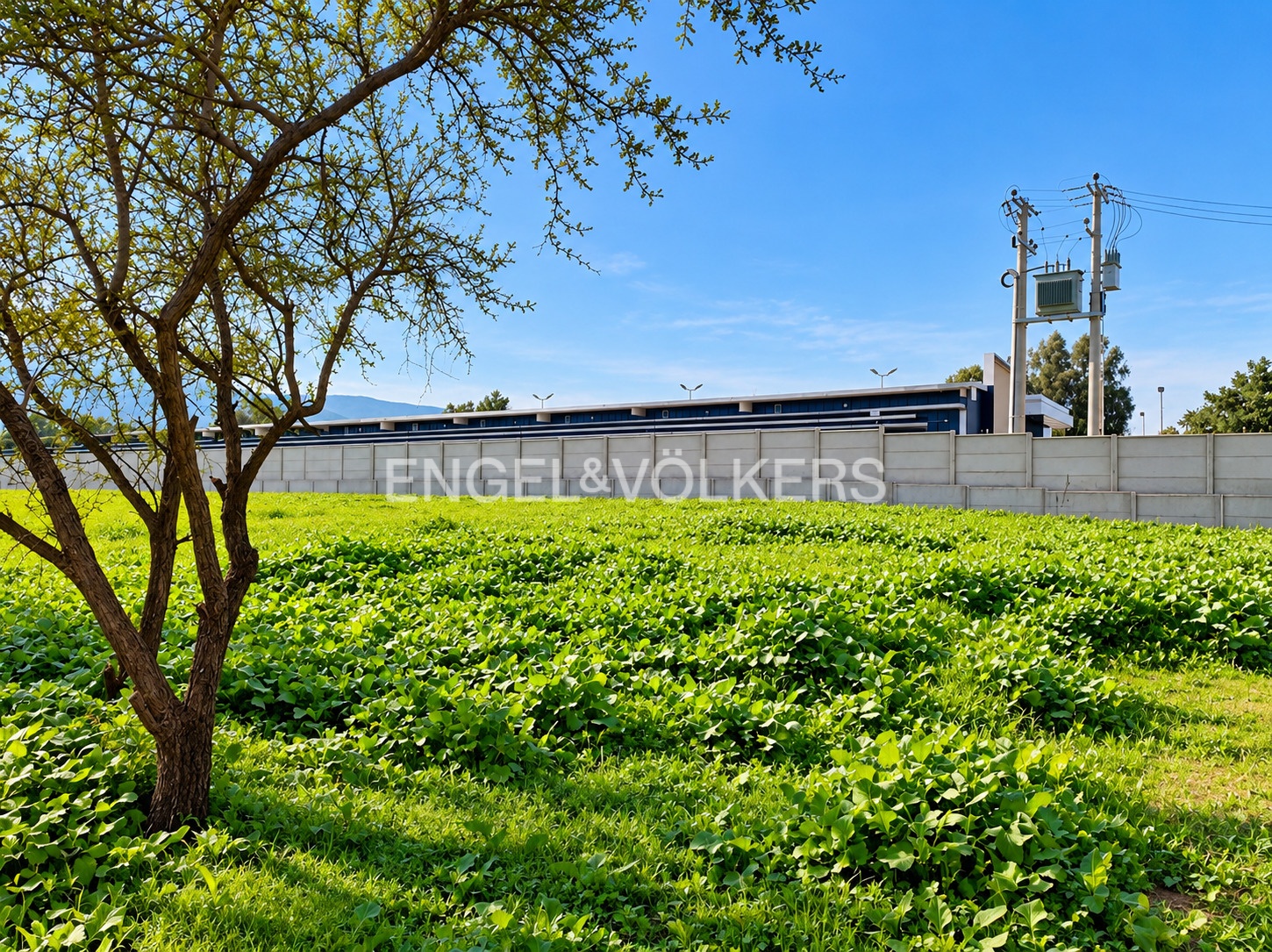 Arriendo zona comercial de Piedra Roja, Chicureo