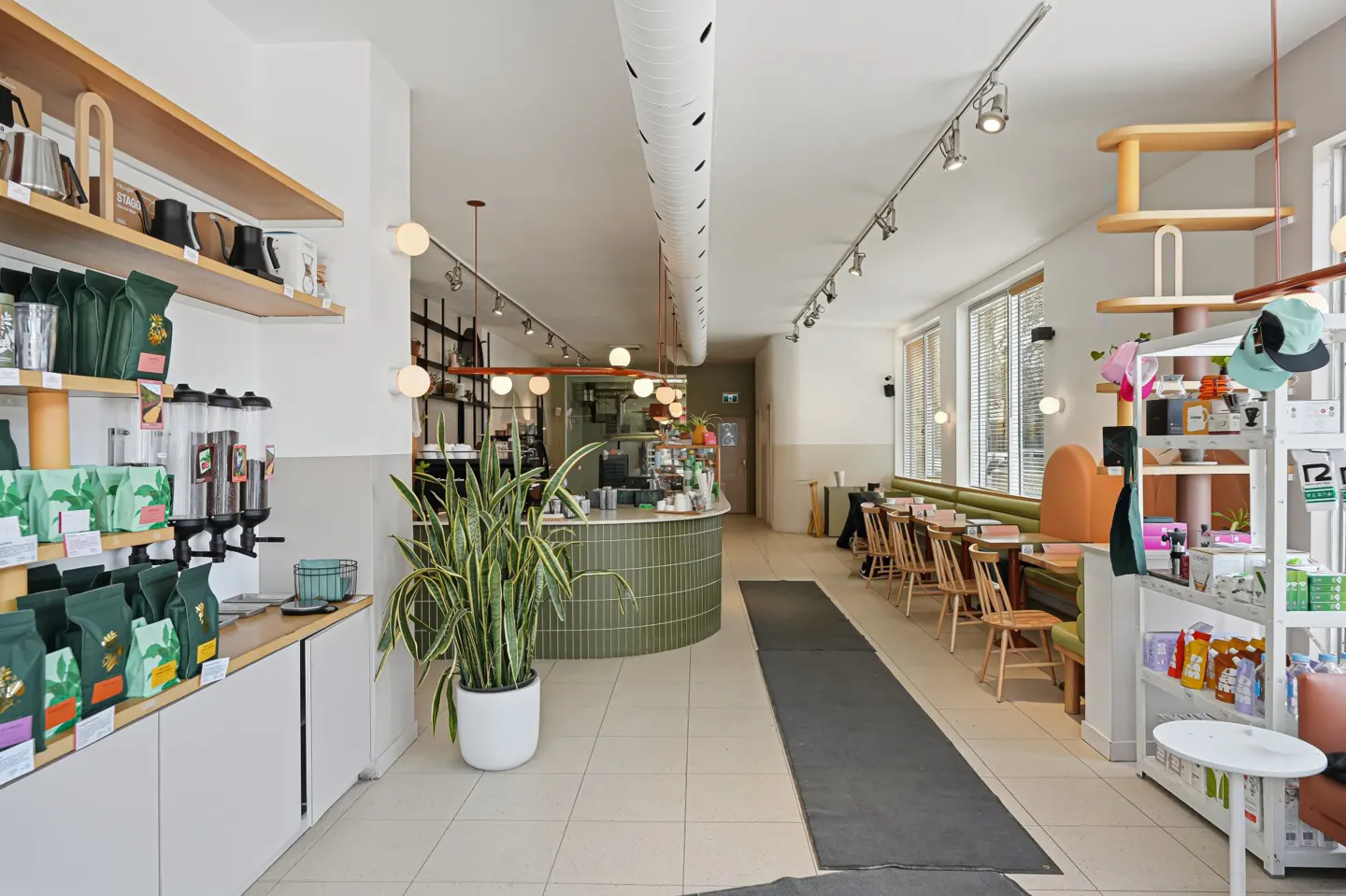 Bright, modern cafe interior with shelves of coffee beans, a green tiled counter, and seating along the wall. A large snake plant adds a touch of nature.