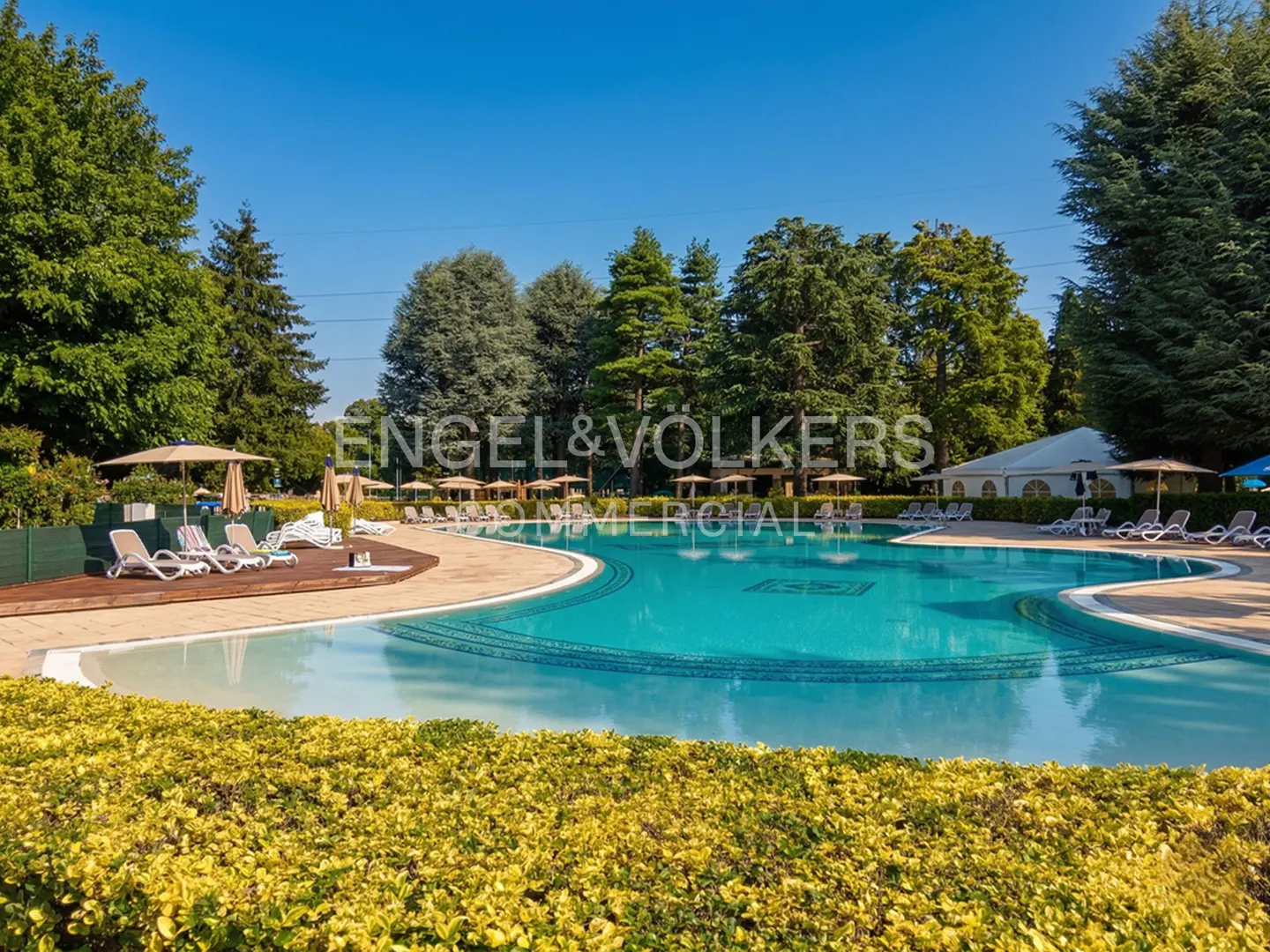 Outdoor pool with lounge chairs and umbrellas, surrounded by green trees and bushes under a clear blue sky.