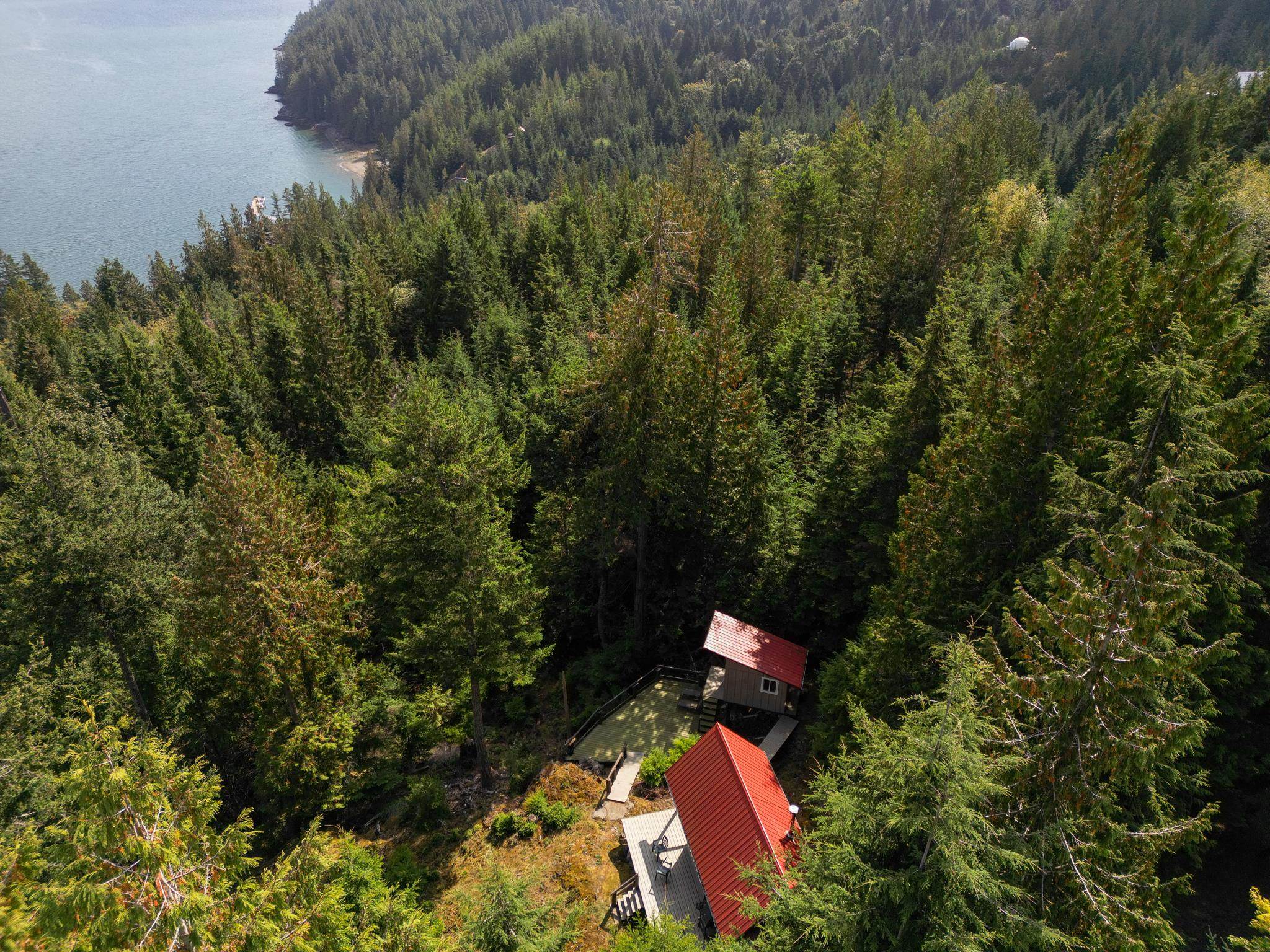 Aerial view of two cabins with red roofs nestled in a dense evergreen forest overlooking a calm coastal bay. [AI-generated text]