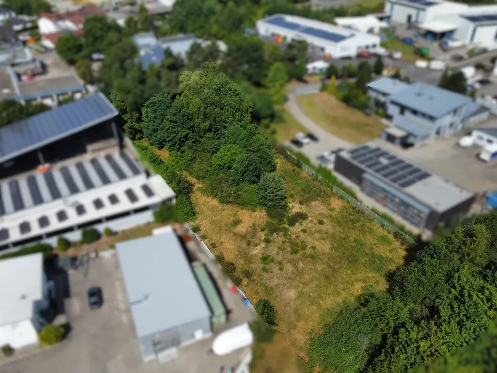 Aerial view of a grassy lot surrounded by trees and commercial buildings with solar panels on the roofs.