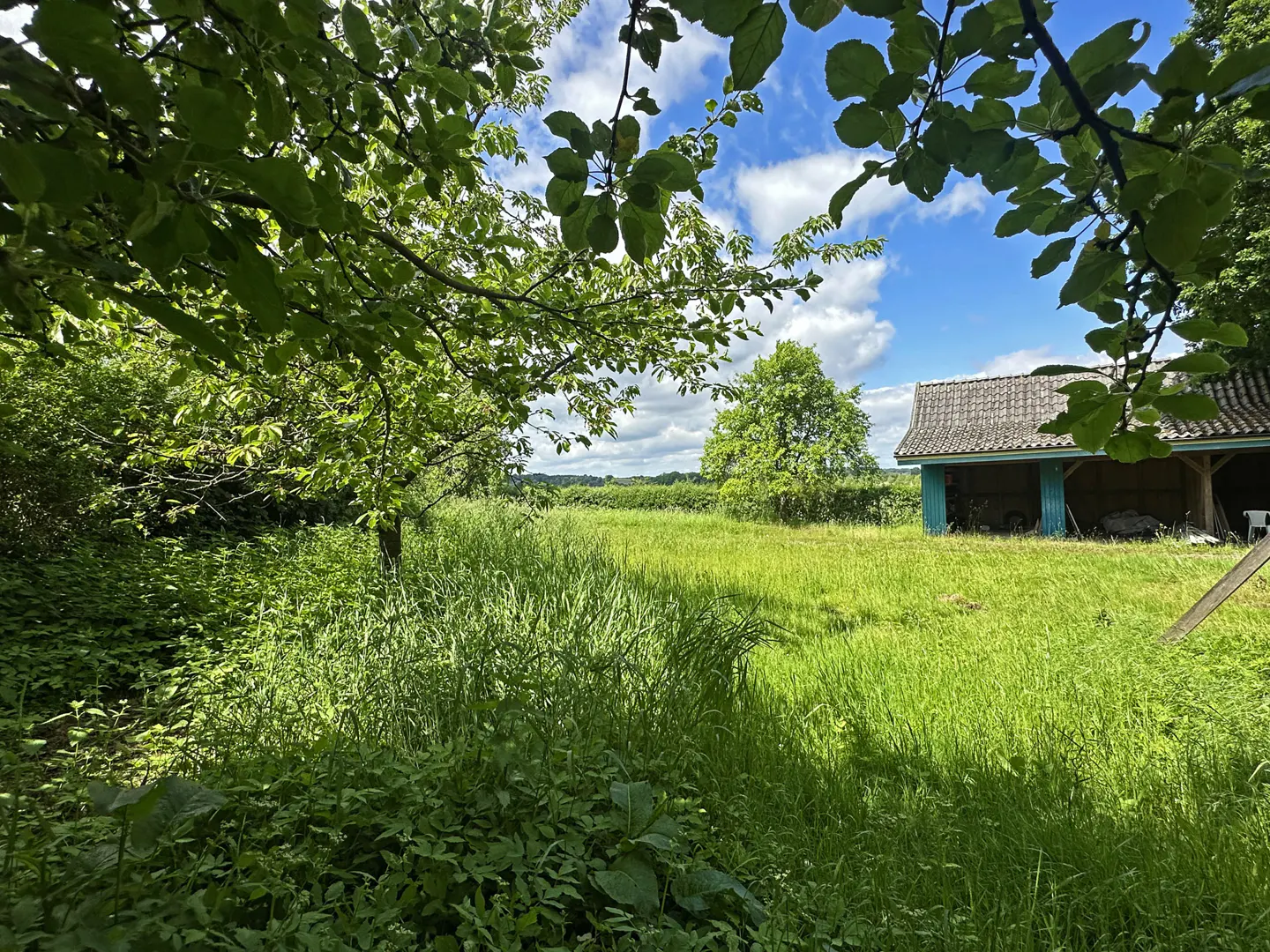 A lush green meadow under a blue sky with a rustic open-sided barn framed by tree branches in the foreground.