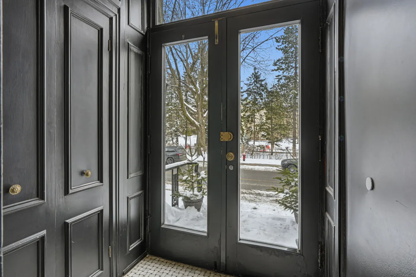 Interior view of a dark gray paneled door with glass panes showing a snowy street scene outside.