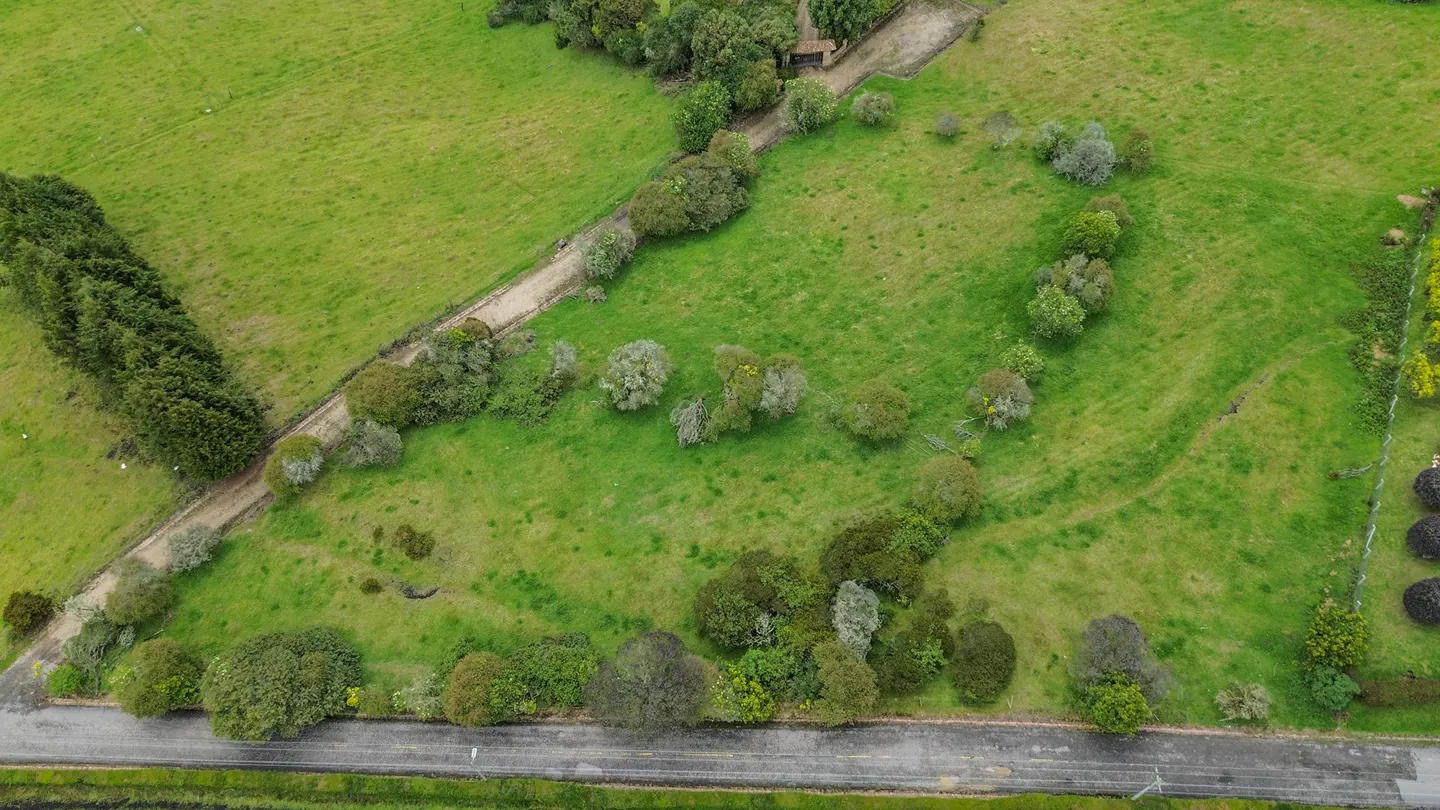 Aerial view of a green field with trees and a dirt road running through it. A paved road borders the bottom of the image.
