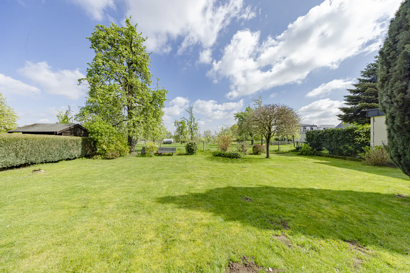 A wide shot of a green lawn with trees, bushes, and a bench under a blue sky with white clouds.