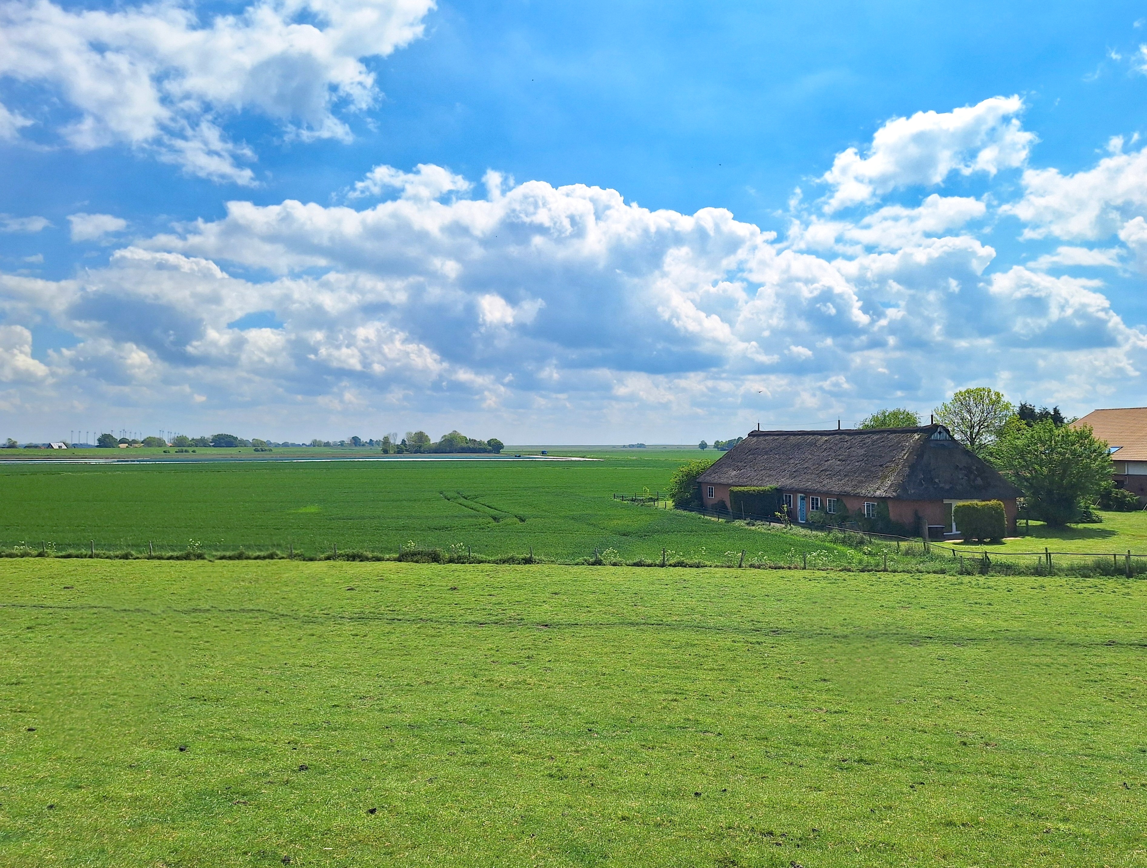 4 Ferienwohnungen | Reetdachhaus | Sanierungsobjekt