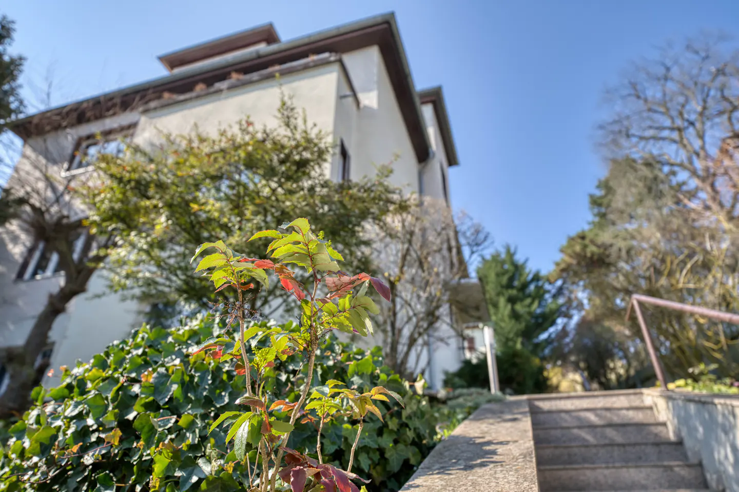 Exterior shot of a two-story white house with brown trim, surrounded by greenery and a blue sky. A stone staircase leads up to the property.