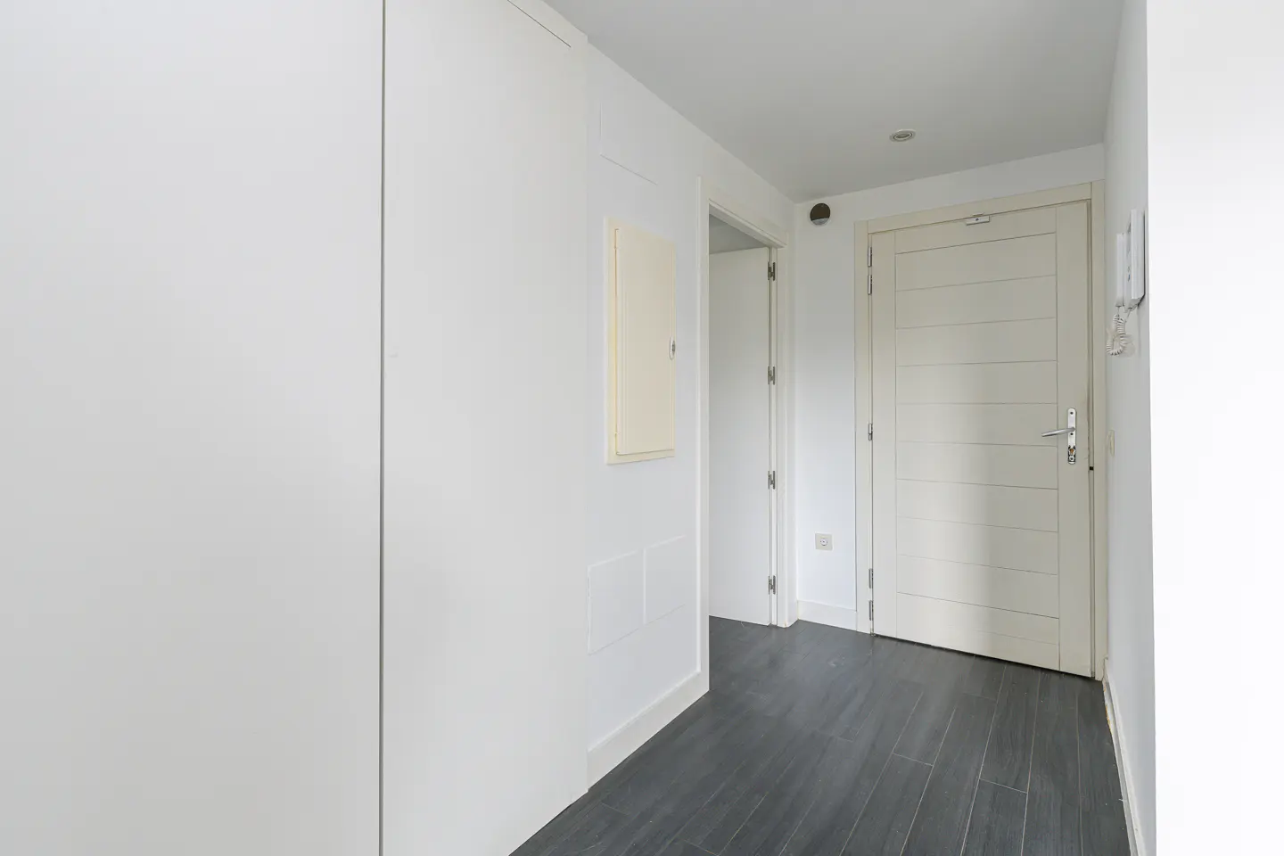 Bright hallway with white walls, dark wood-look floors, and white doors. A large white closet is on the left.