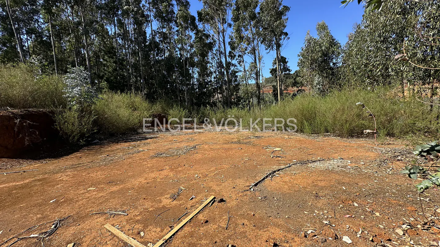 Vacant lot with red dirt and sparse vegetation, backed by tall trees under a blue sky. Engel & Völkers logo visible.