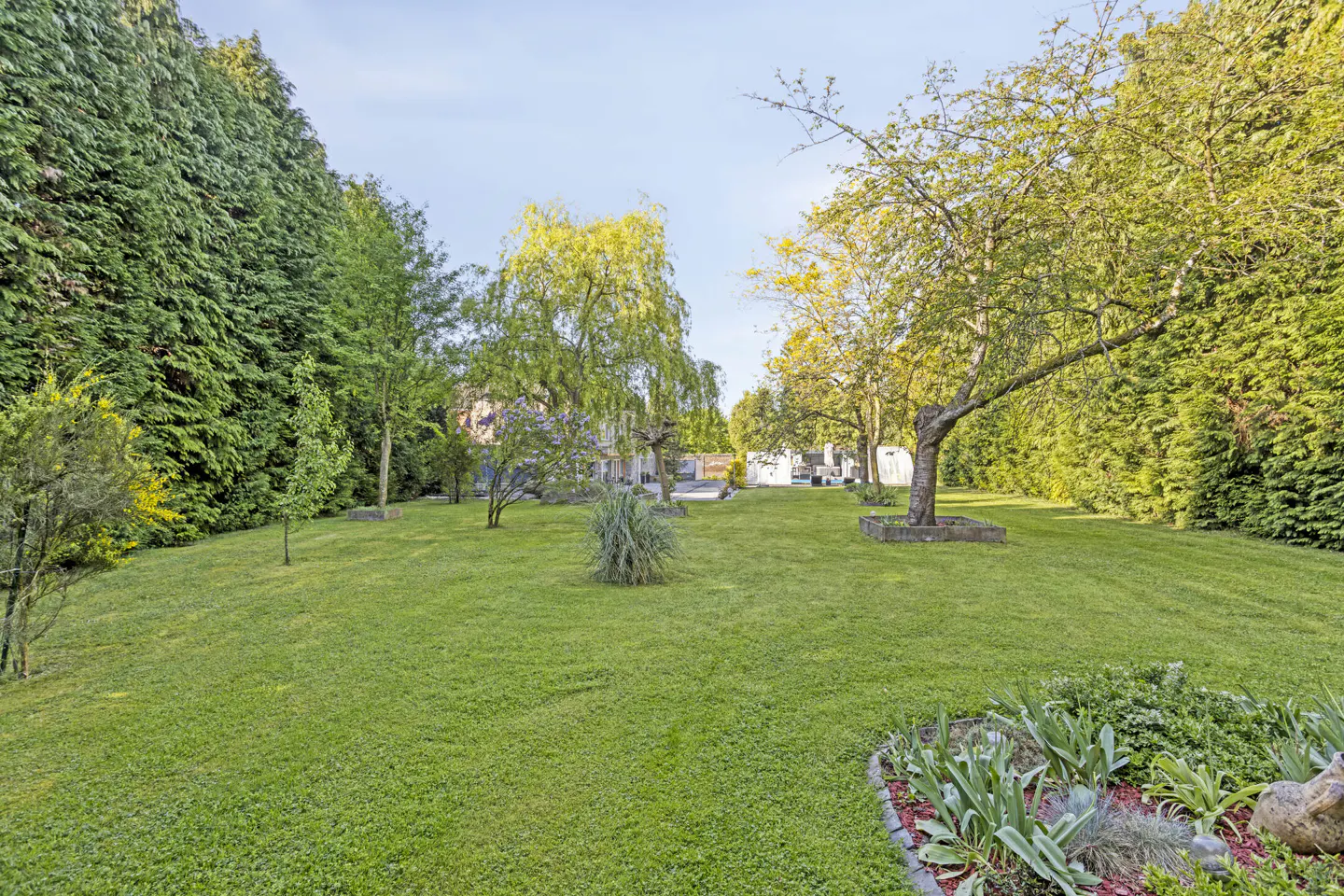 A wide green lawn with trees and shrubs, bordered by tall green hedges. A house is visible in the background.