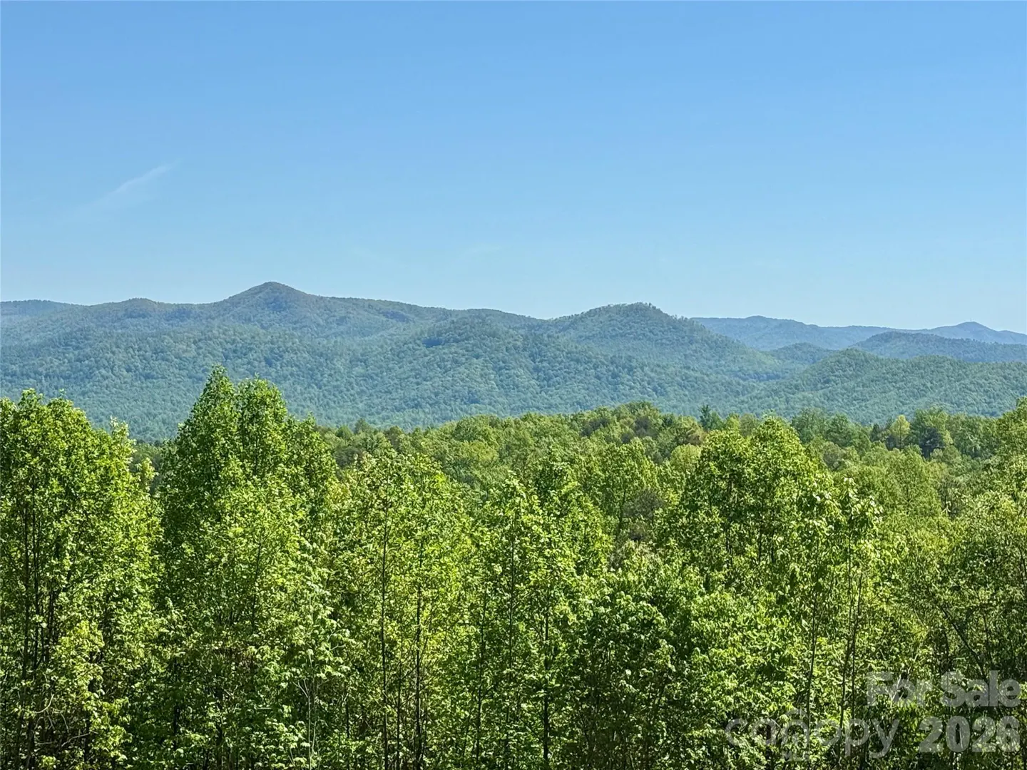 Scenic view of lush green trees and distant mountains under a clear blue sky.