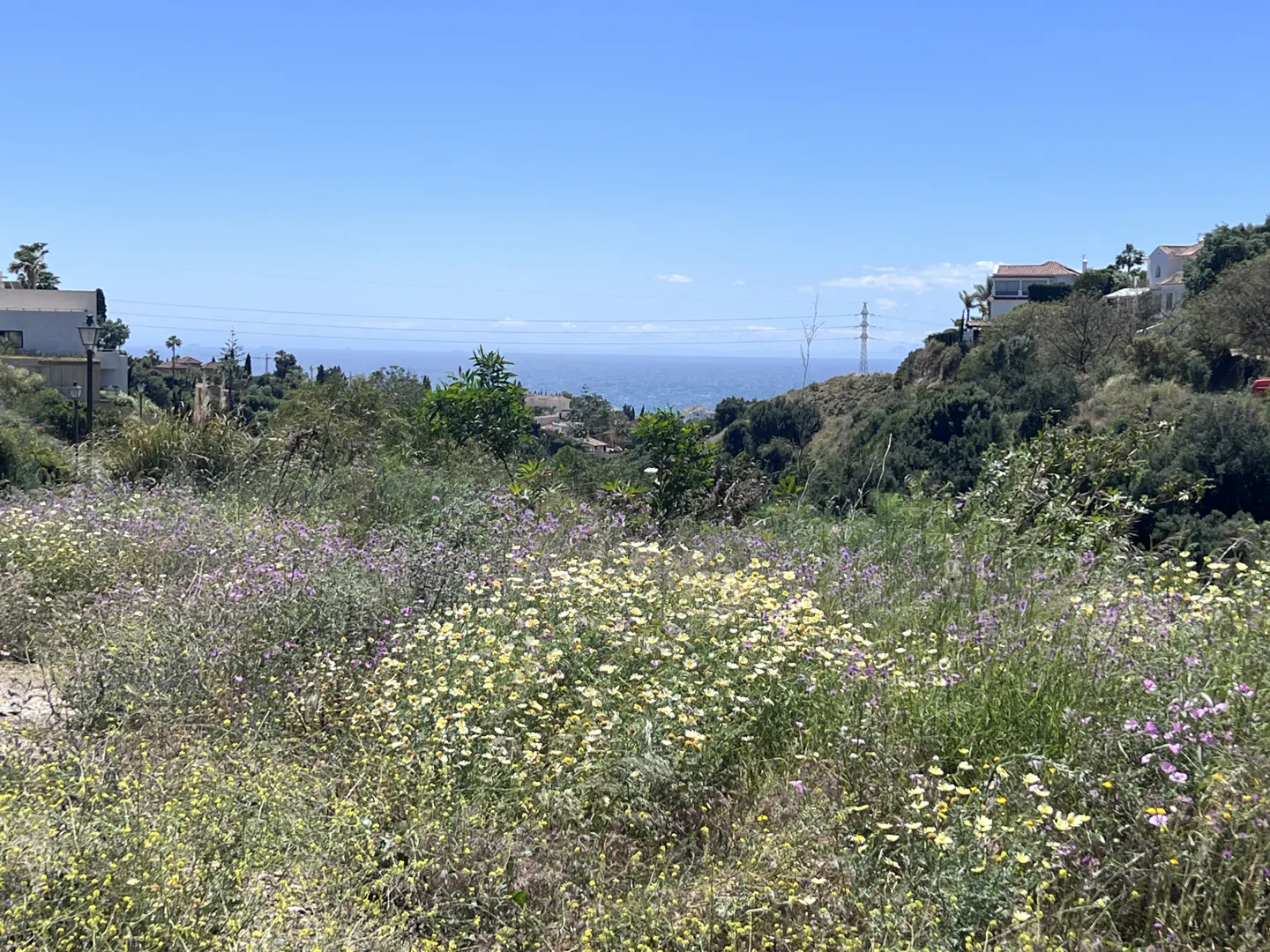 Scenic view of a field with yellow and purple wildflowers, green trees, houses, and the blue ocean under a clear sky.