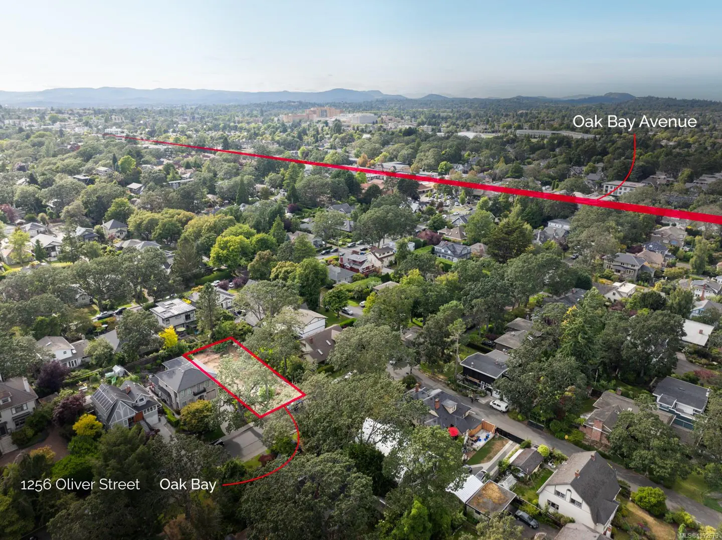 Aerial view of 1256 Oliver Street, Oak Bay, with a red outline around the property. Oak Bay Avenue is marked with a red line.