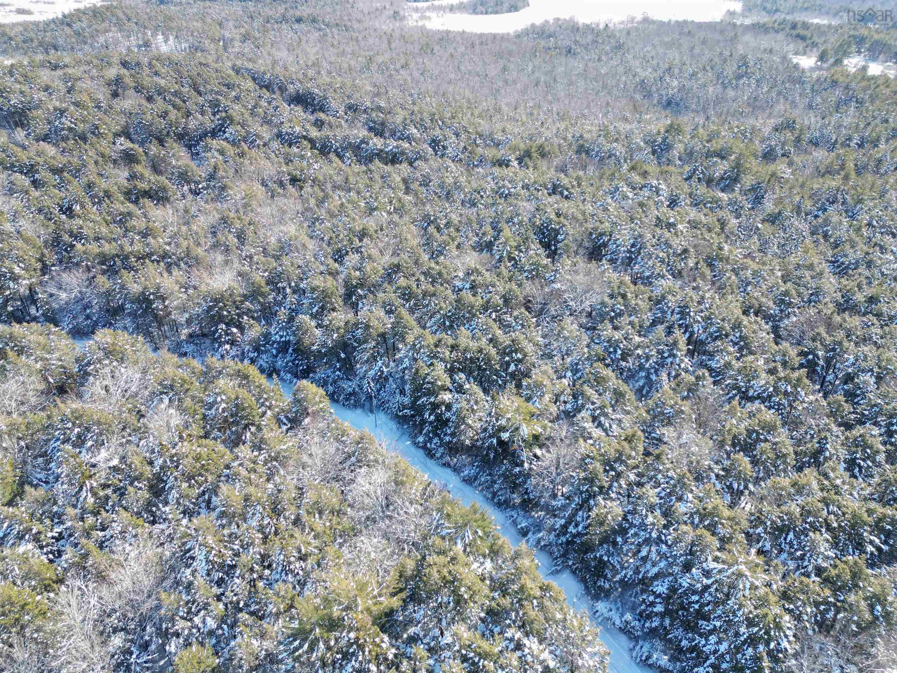 Beautiful 3.8-acre Wooded Parcel on a Peaceful Private Road