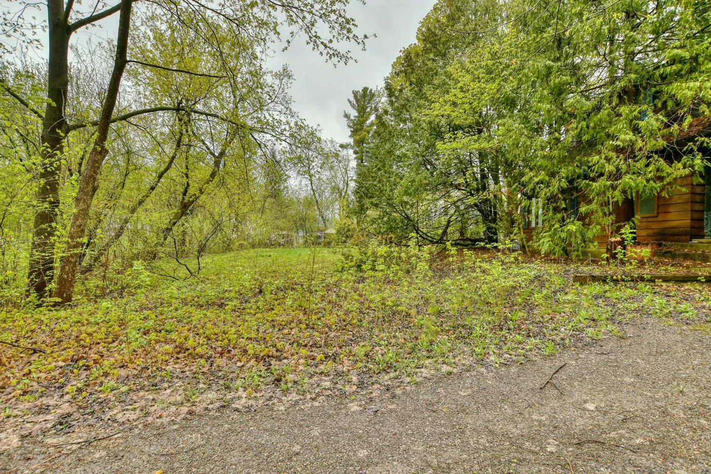 Overgrown lot with trees and ground cover, leading to a small wooden cabin on the right.