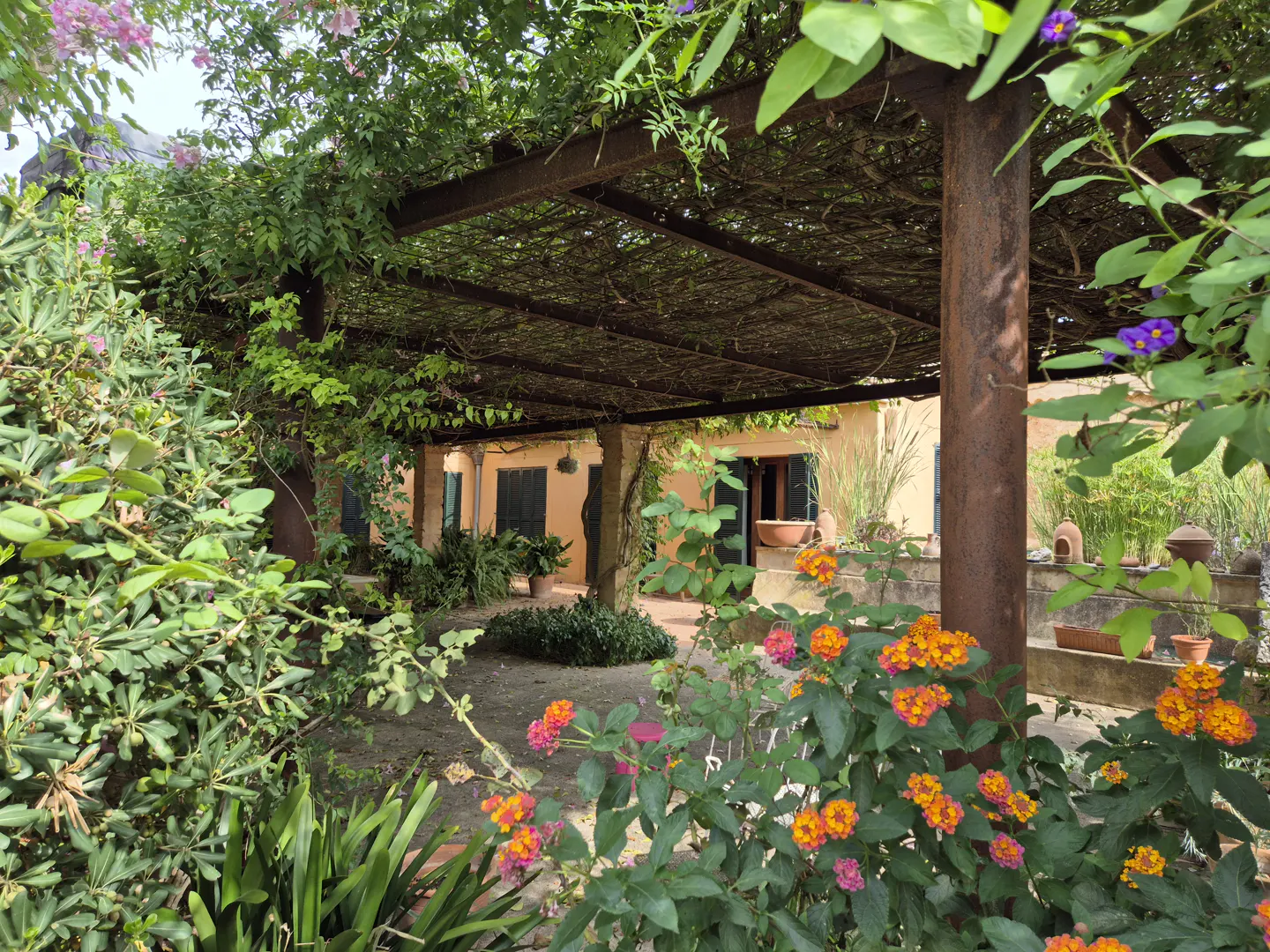 A sun-drenched courtyard with a vine-covered pergola, lush greenery, and colorful flowers. The building has dark green shutters and a terracotta roof.