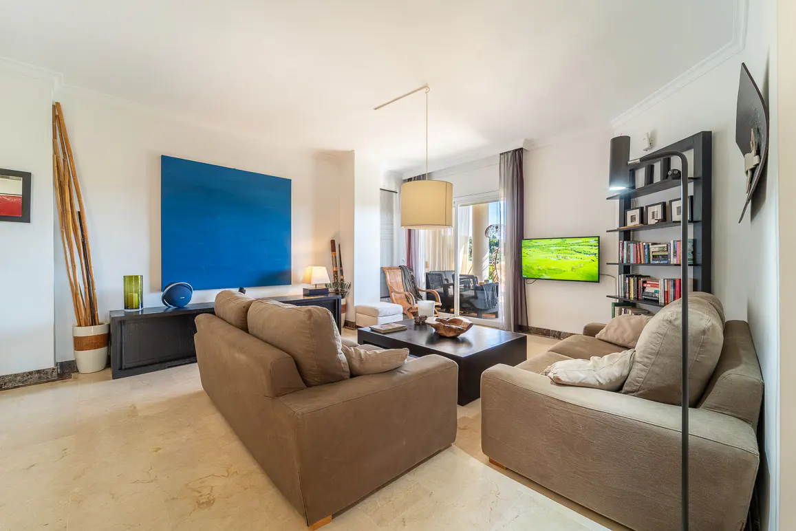 Bright living room with two brown sofas, a dark wood coffee table, and a blue square painting on the wall. A TV and bookshelf are on the right.