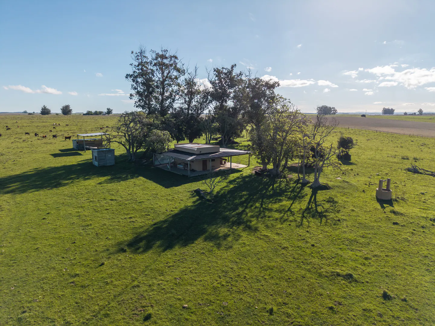 Aerial view of a ranch house surrounded by green fields, trees, and grazing cattle under a blue sky.