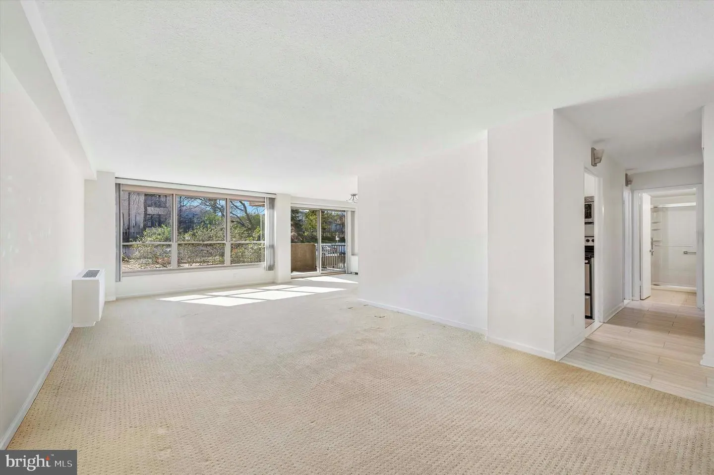 Bright, empty living room with beige carpet, white walls, and large windows overlooking trees. Hallway leads to kitchen and bathroom.