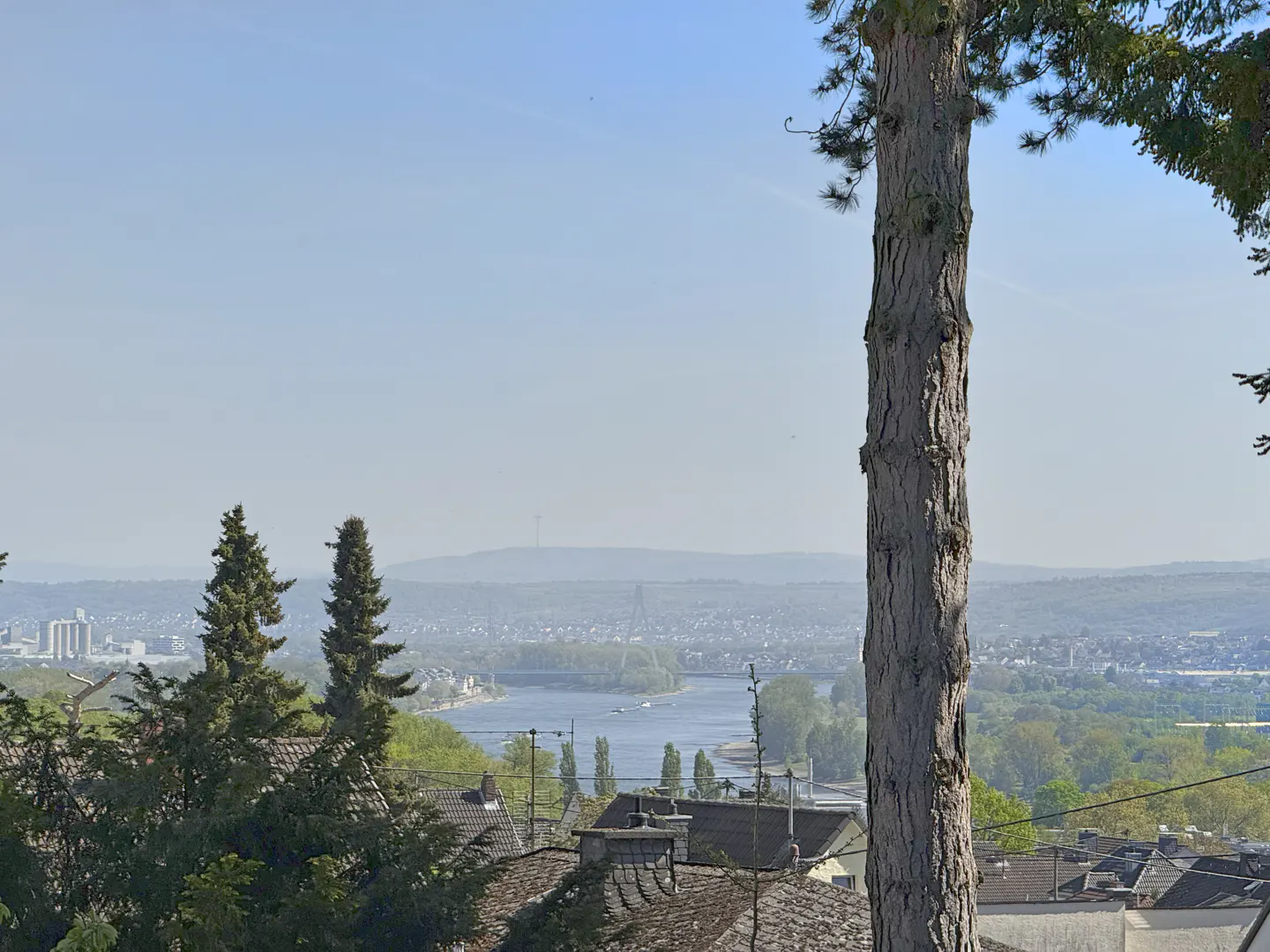 Scenic view of a river and city skyline, framed by trees and rooftops under a clear blue sky.