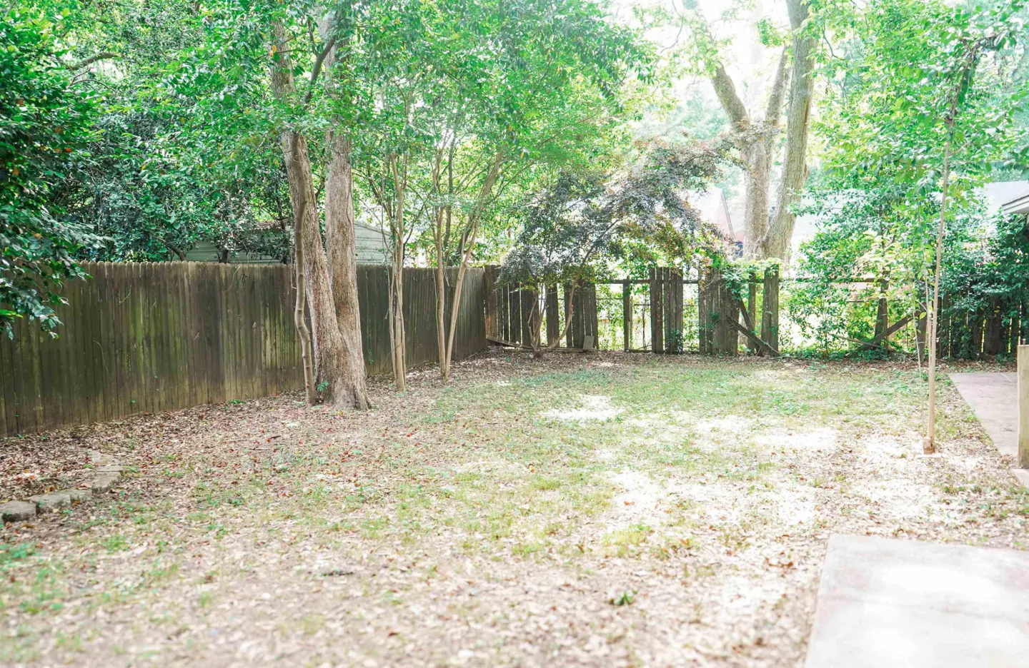 A backyard with a wooden fence, green grass, trees, and fallen leaves.