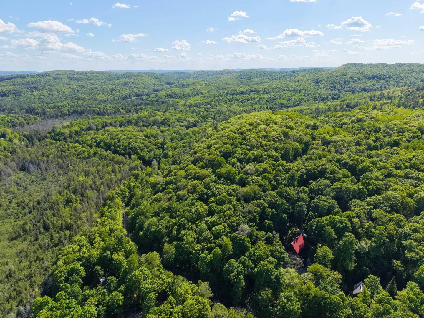 Aerial view of a small cabin with a bright red roof nestled in a vast, lush green forest under a blue sky with clouds.