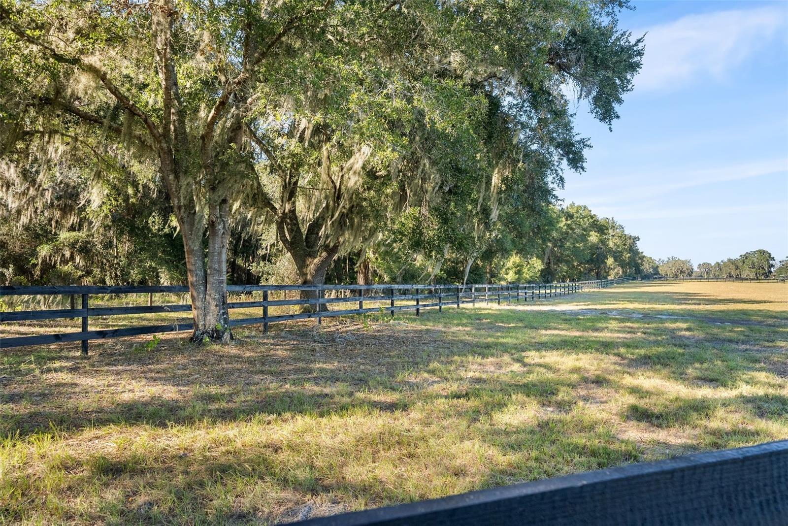Buildable Equestrian Lot Bordering State Preservation