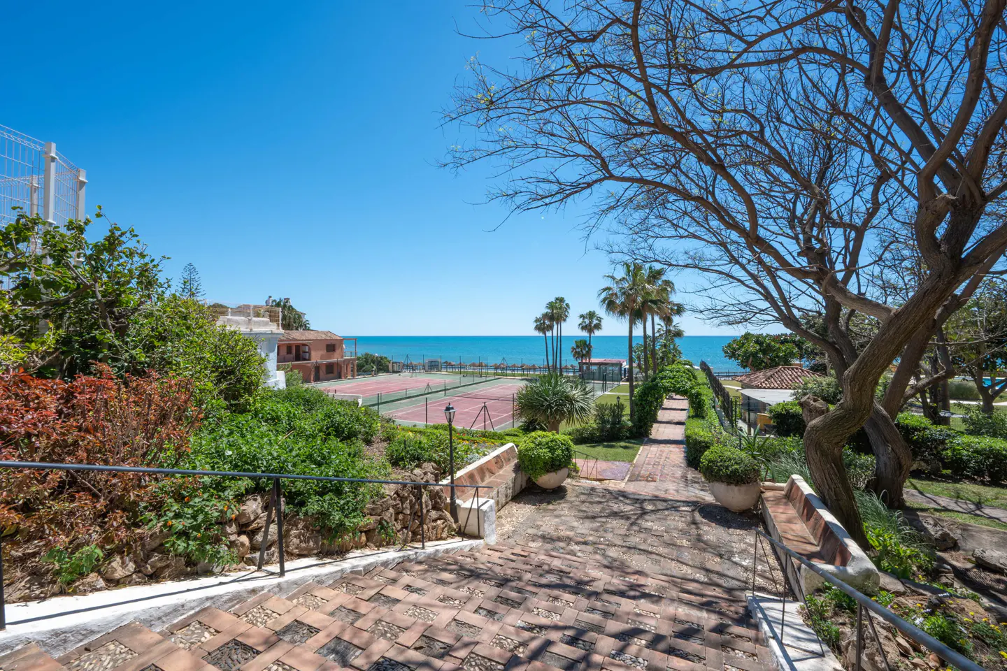 View from brick steps to tennis courts, palm trees, and ocean under a blue sky. Lush greenery and a bare tree frame the scene.