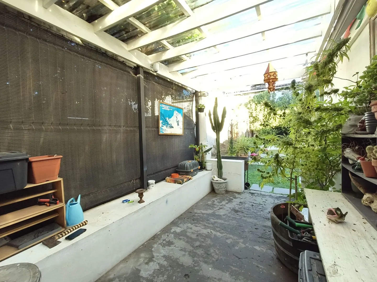 Rear garden