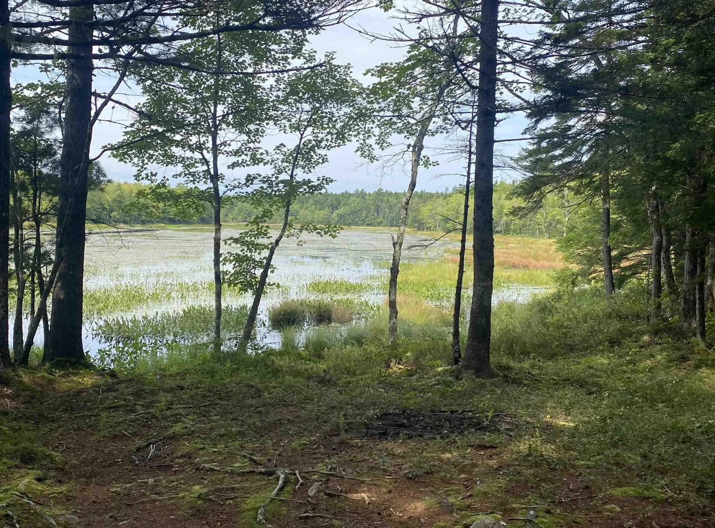 53 acres great for hunting or relaxing with waterfront