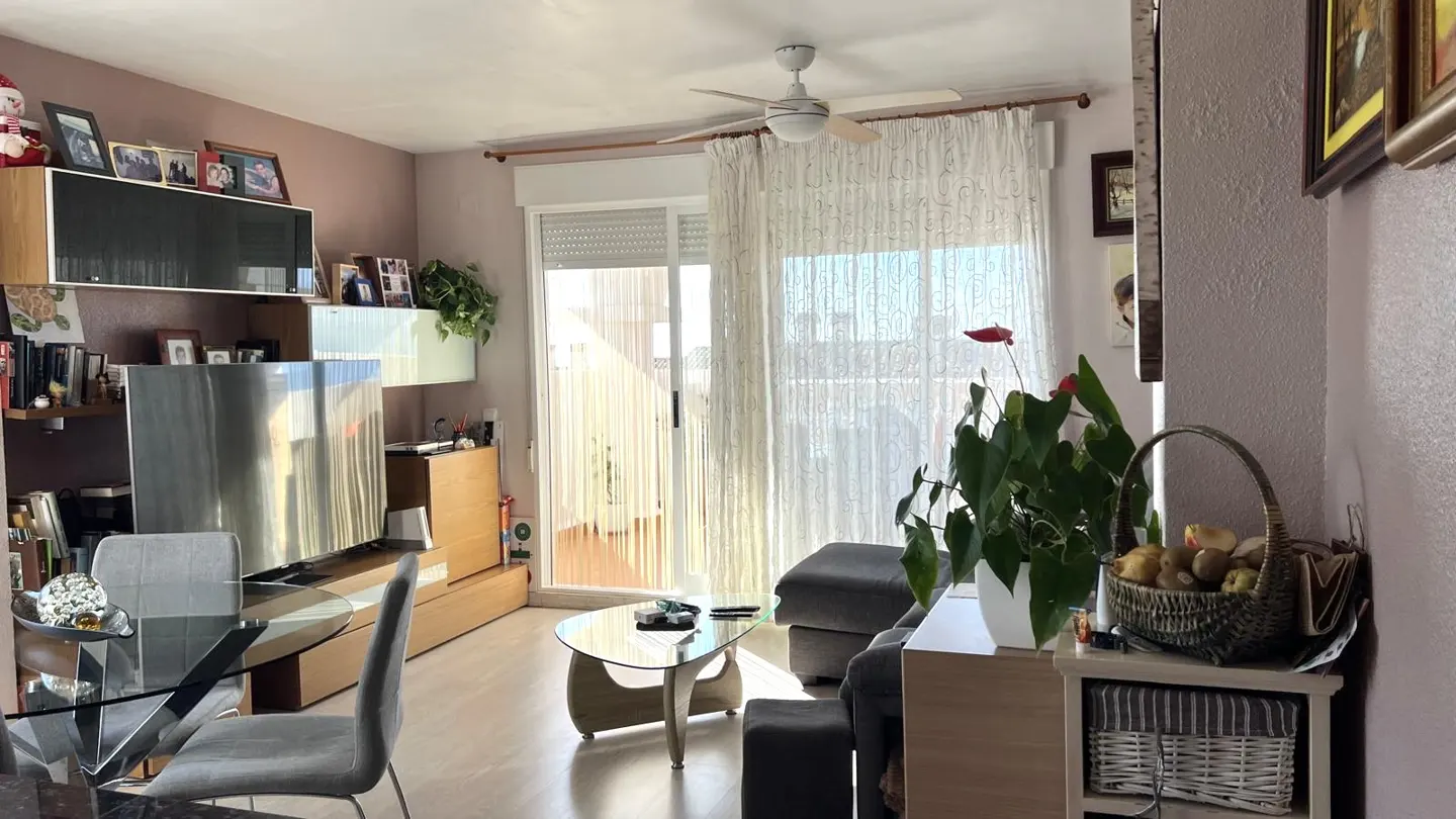 A bright living room with a glass table, gray chairs, a TV, and a ceiling fan. A plant with red flowers sits near a window with sheer curtains.