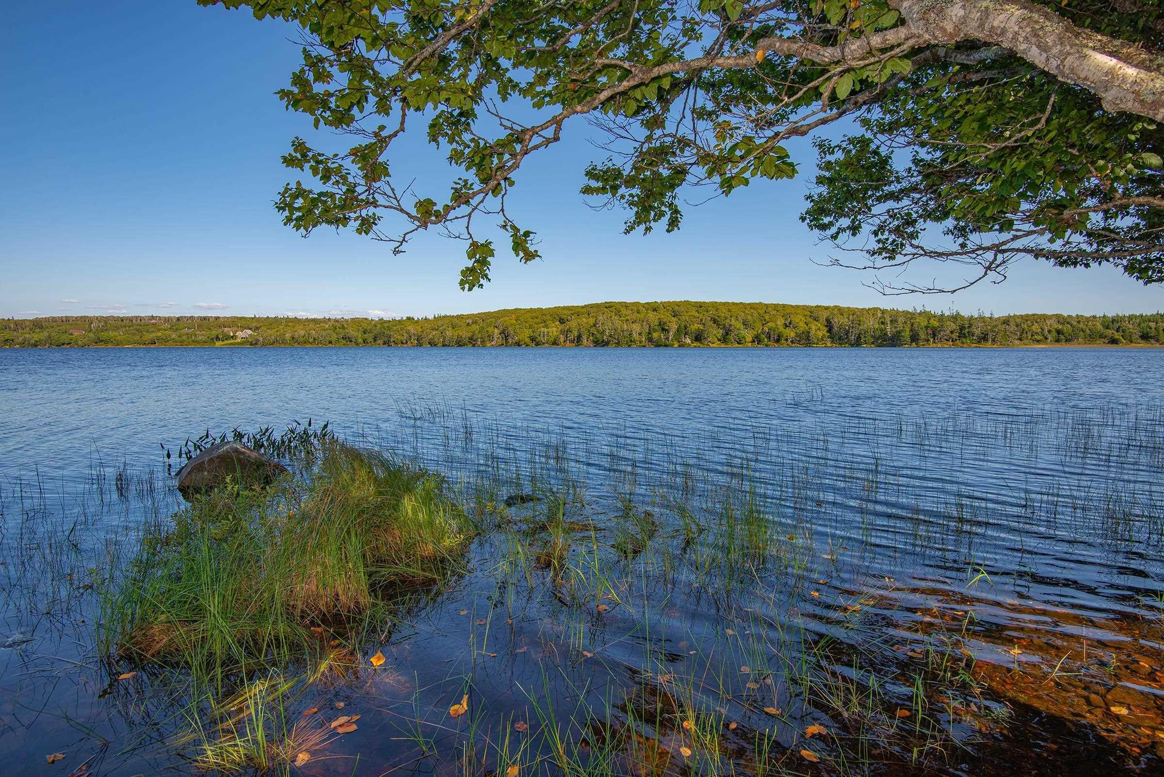 Unlock the Potential of this Extraordinary 117 Acre Property