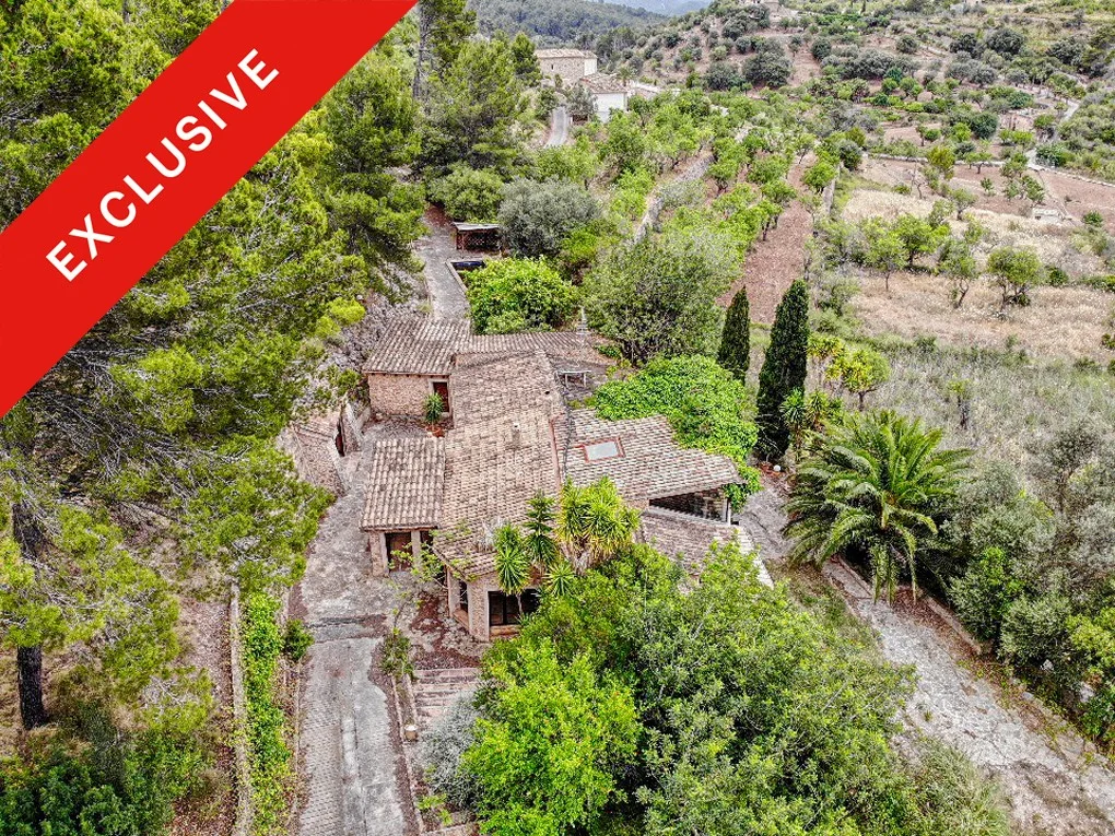 Finca in need of renovation in a quiet location with lots of land