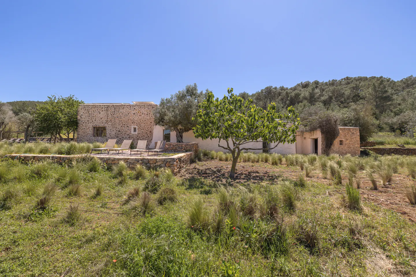 Exterior view of a stone house with lounge chairs, trees, and tall grass under a clear blue sky.
