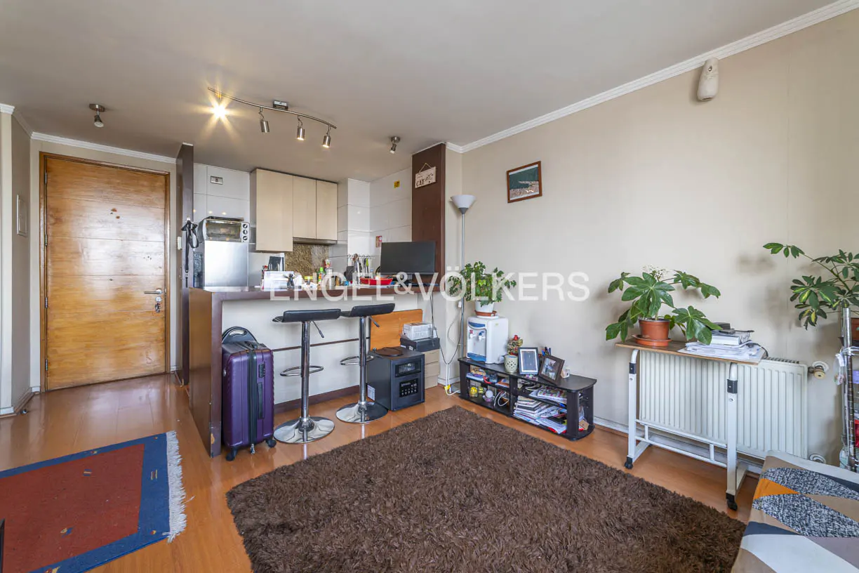 Open-plan living area with a kitchen counter, two bar stools, a brown shag rug, and a wooden door on light wood floors.