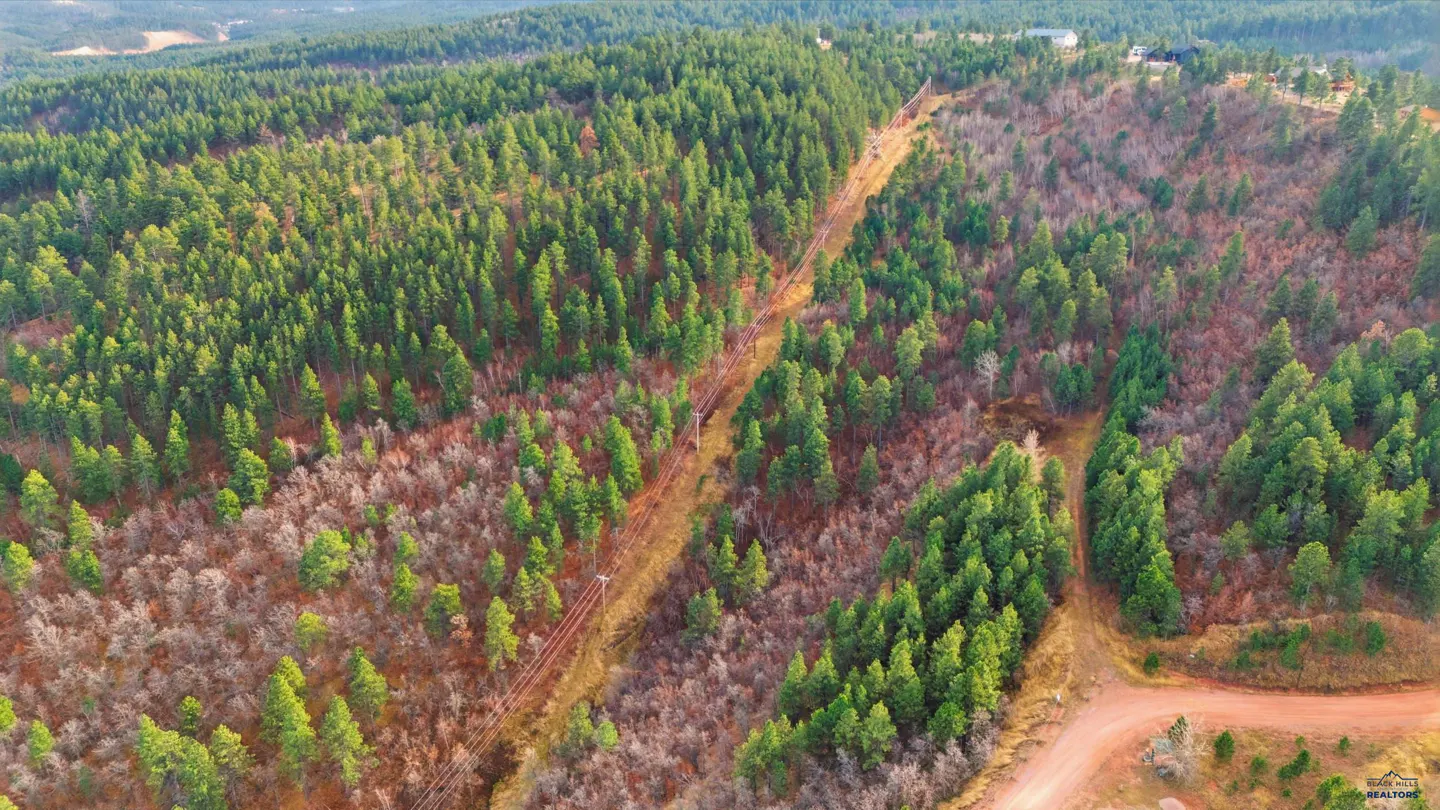Aerial view of a wooded property with green trees and a dirt road. Power lines run through a clearing.
