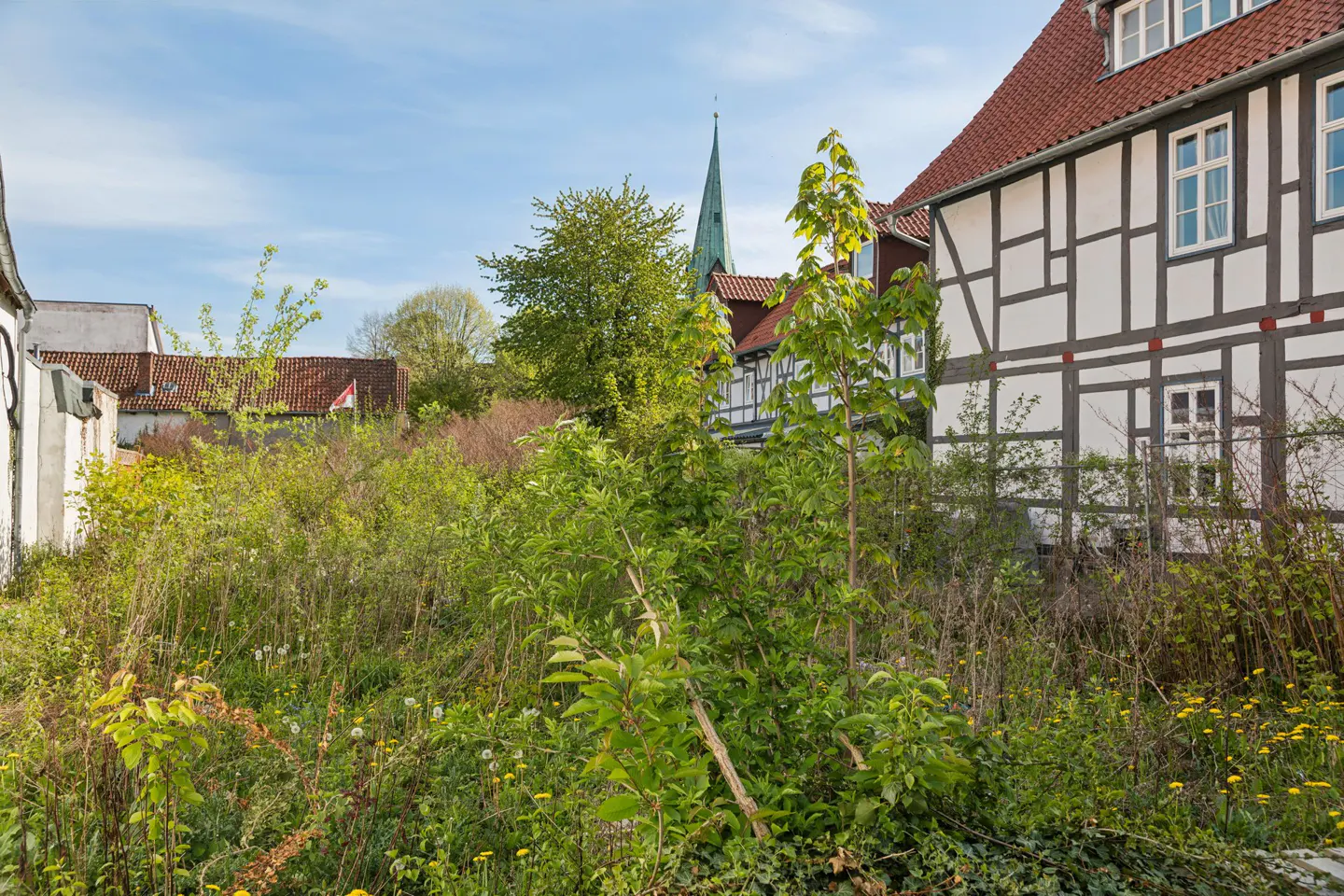Overgrown lot with weeds and dandelions in front of a white half-timbered house with a red tile roof and a church steeple in the background.