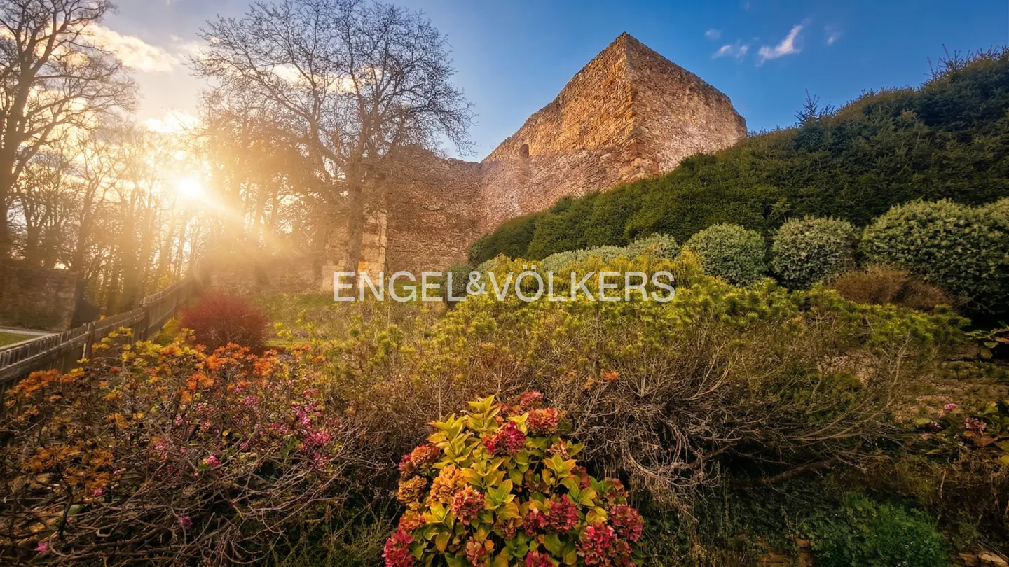 Exterior view of a stone castle ruin on a hill, surrounded by green bushes and colorful flowers, with the sun shining through the trees.